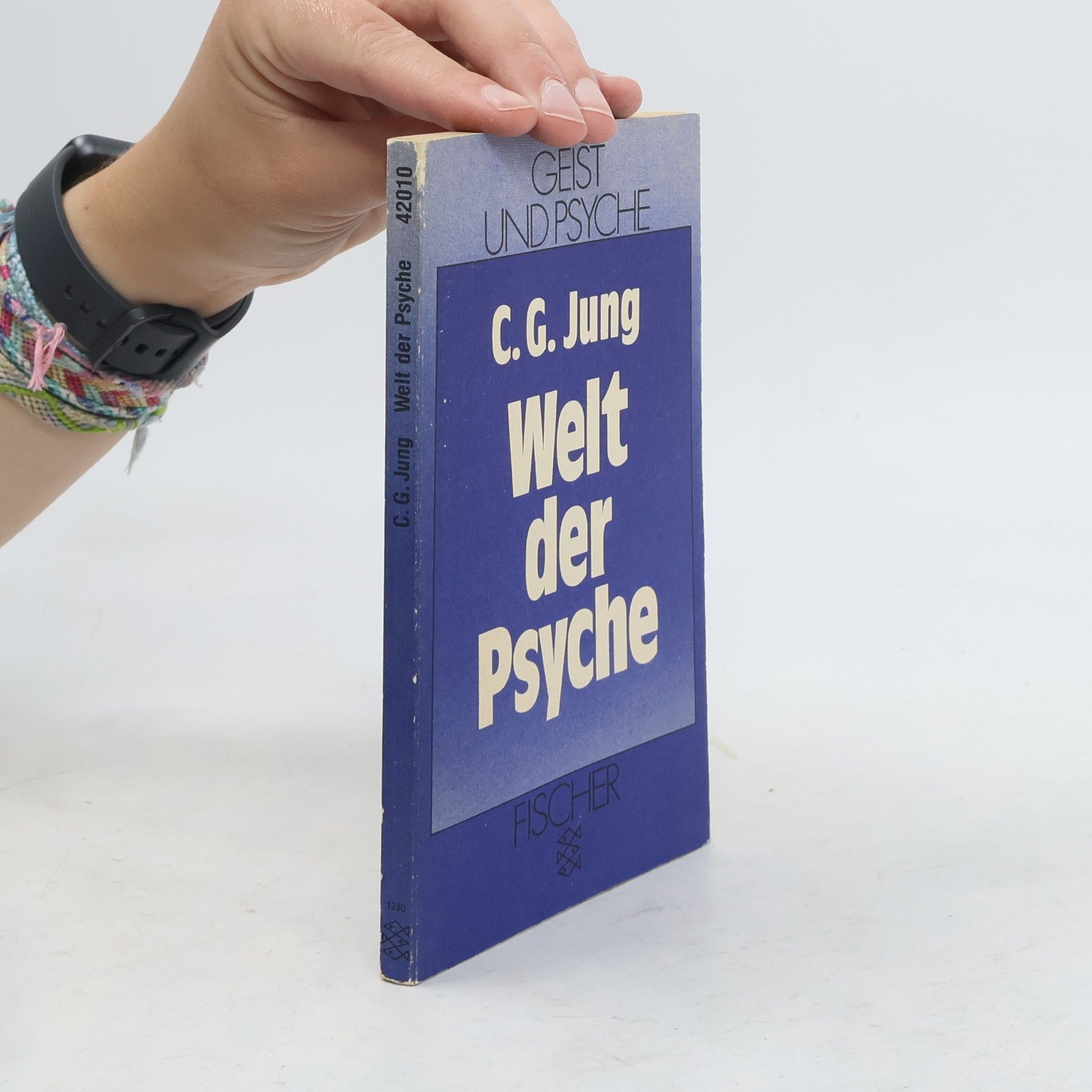 Carl Jung Welt der Psyche