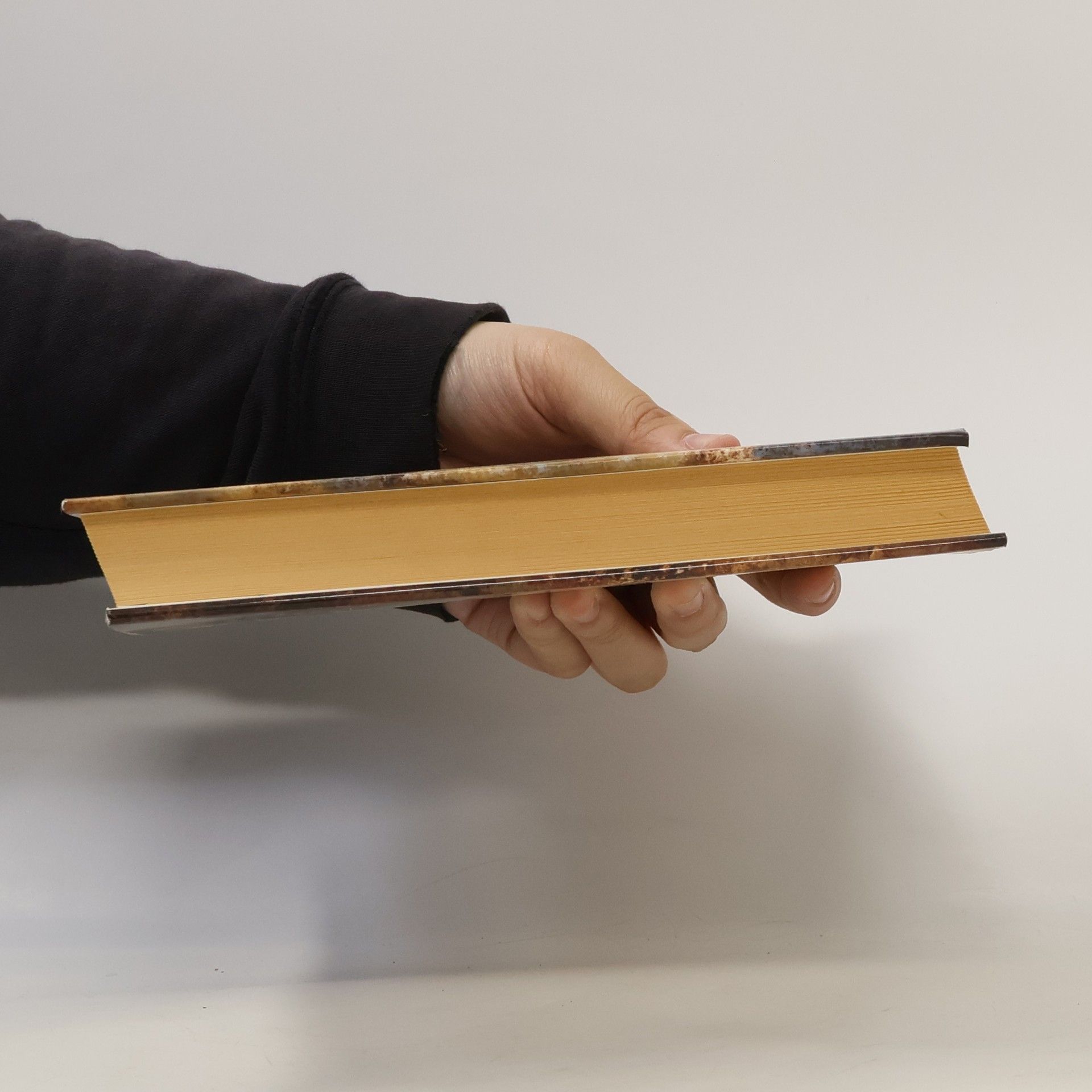Khaled Hosseini Lovec draků