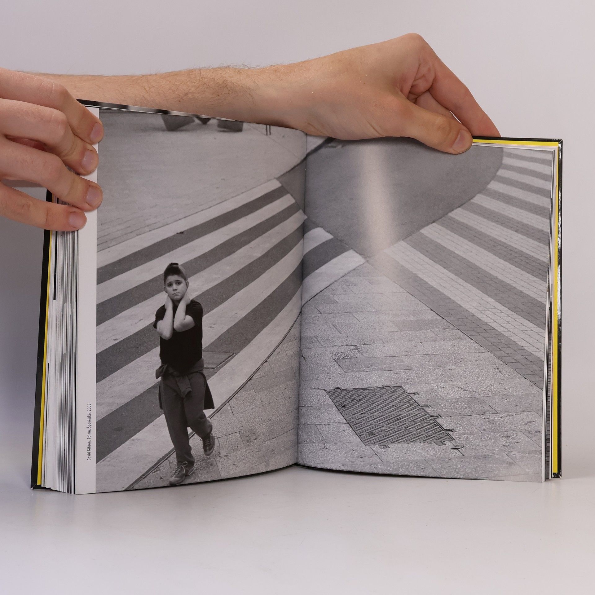 David Gibson Manuál pouličního fotografa
