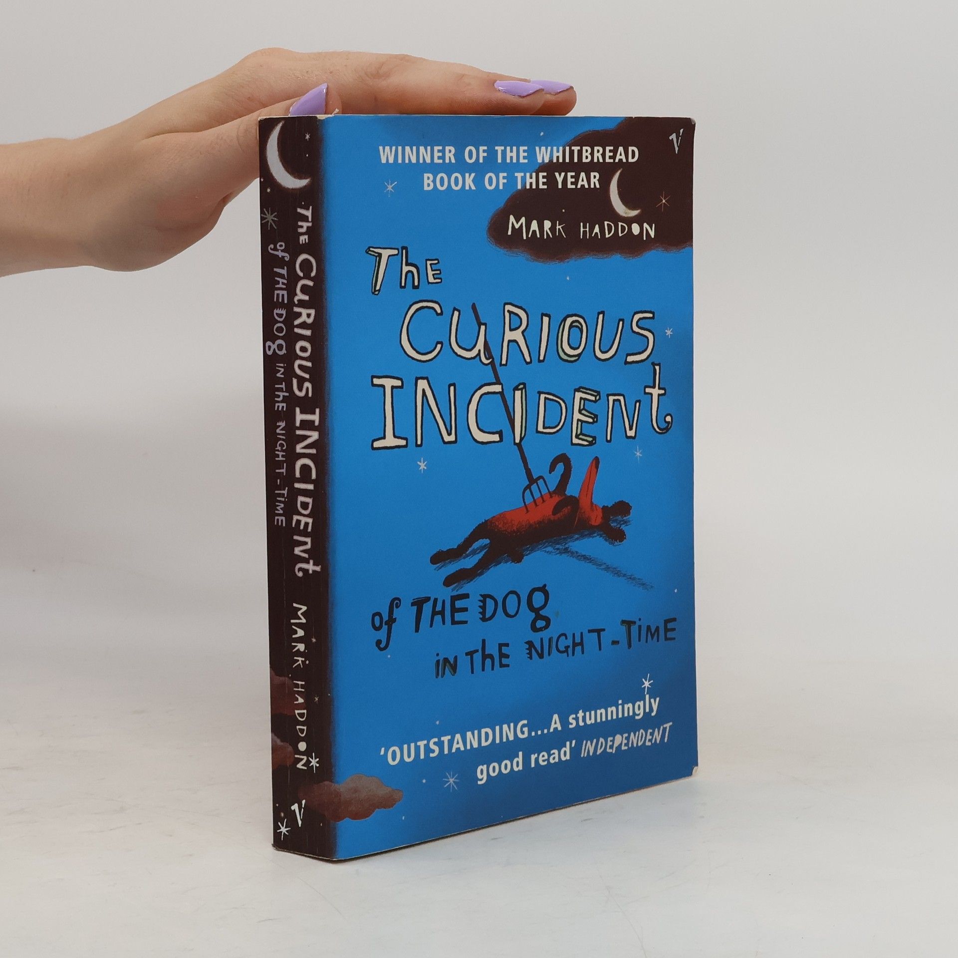 Mark Haddon The Curious Incident of the Dog in the Night-Time