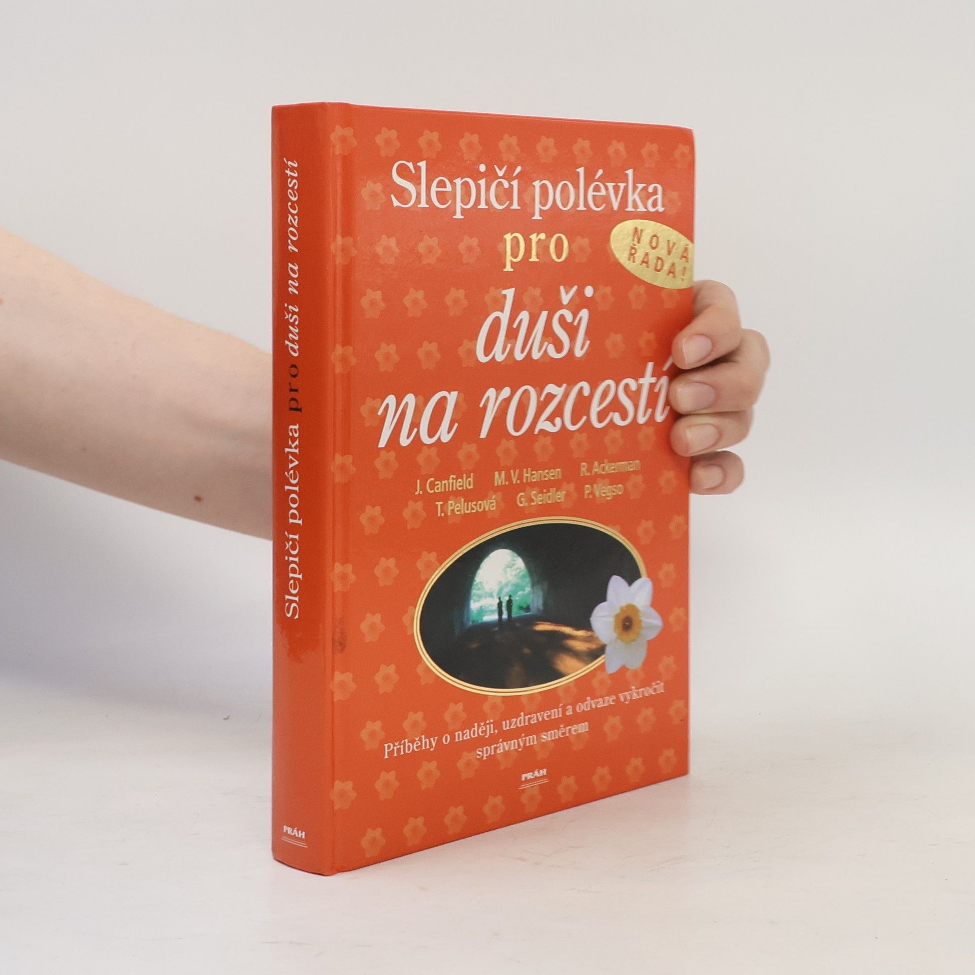 Jack Canfield Slepičí polévka pro duši na rozcestí