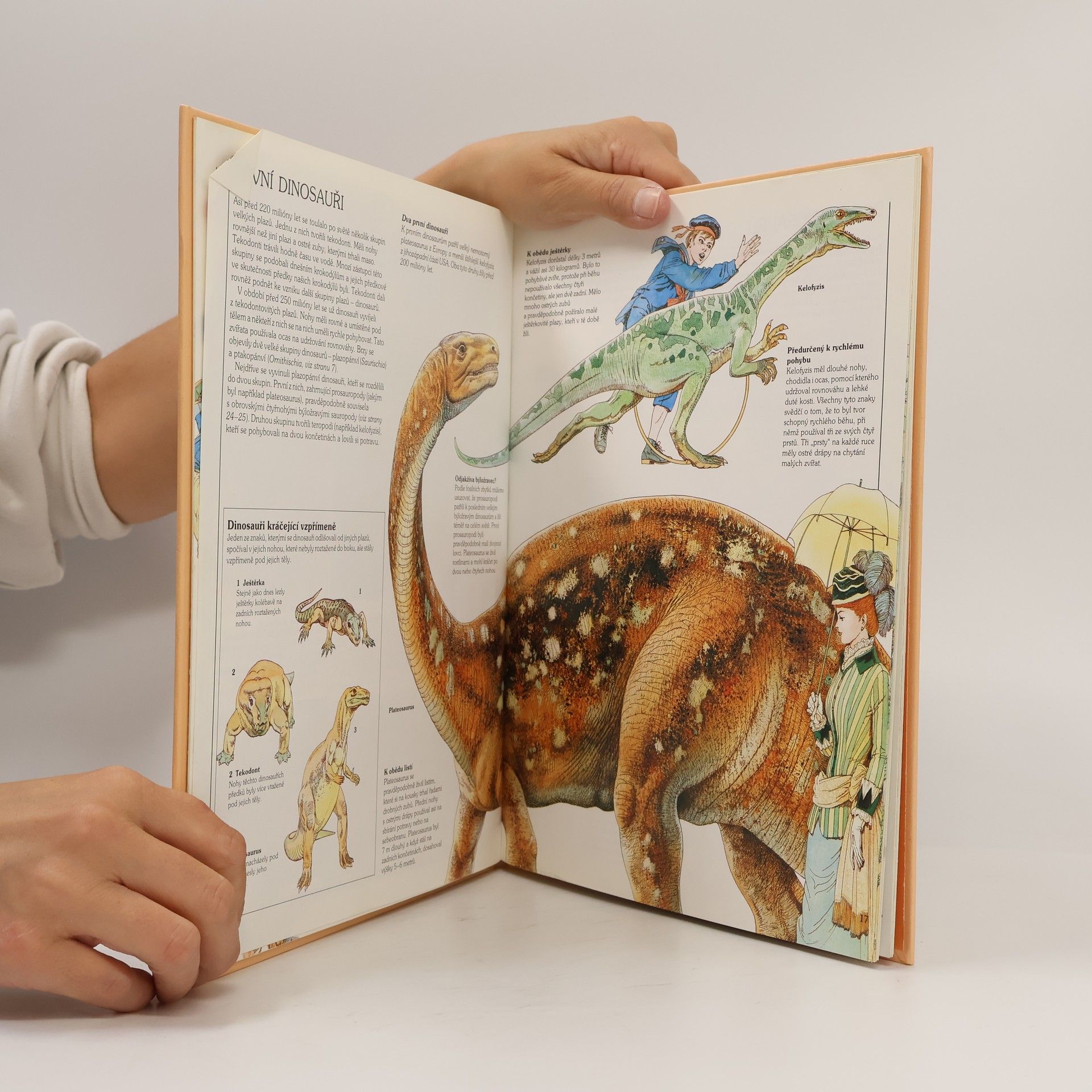 Autorenkollektiv Jak žili dinosauři