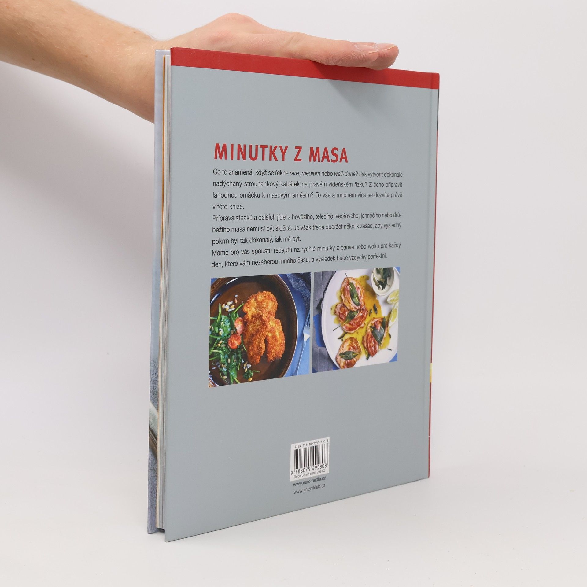 Angelika Ilies Minutky z masa