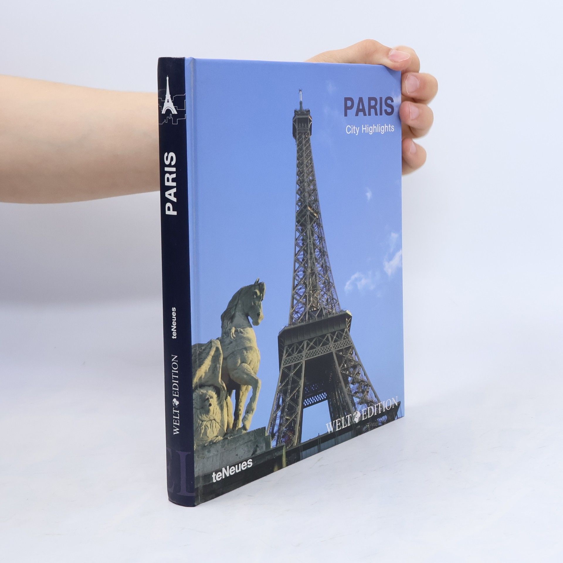 Yasemin Erdem Paris