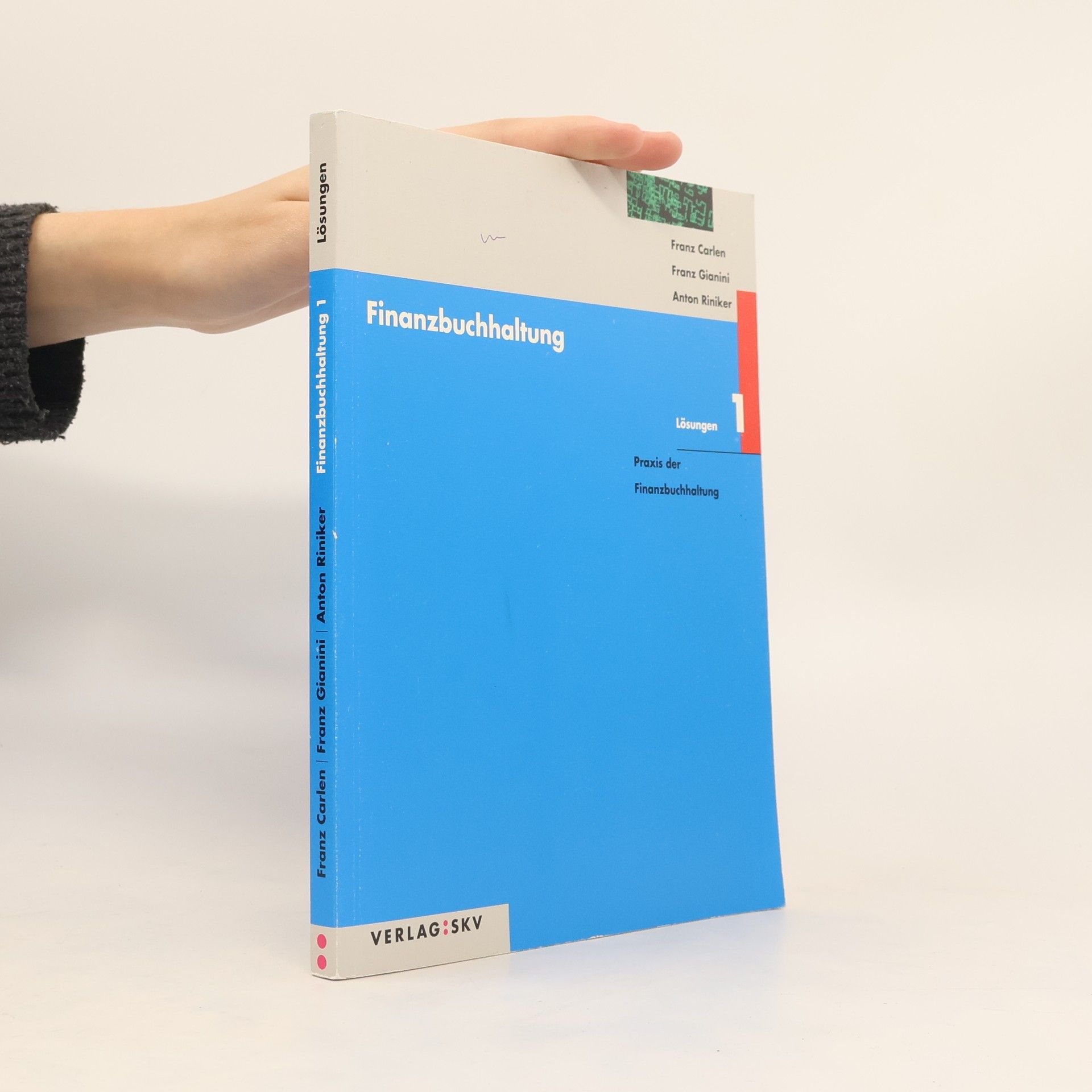 Finanzbuchhaltung / Praxis der Finanzbuchhaltung: Lösungen