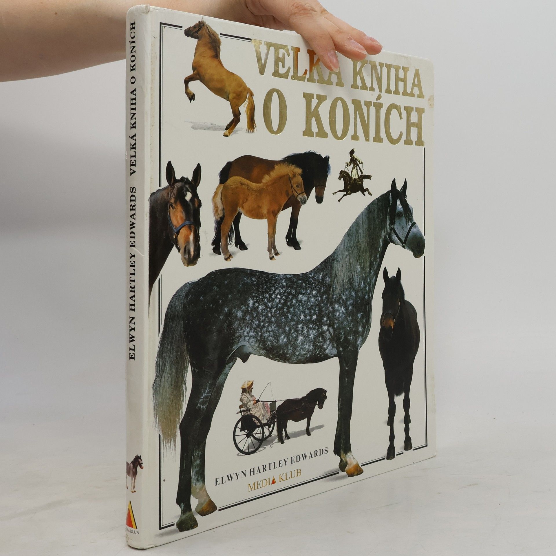 Elwyn Hartley Edwards Velká kniha o koních