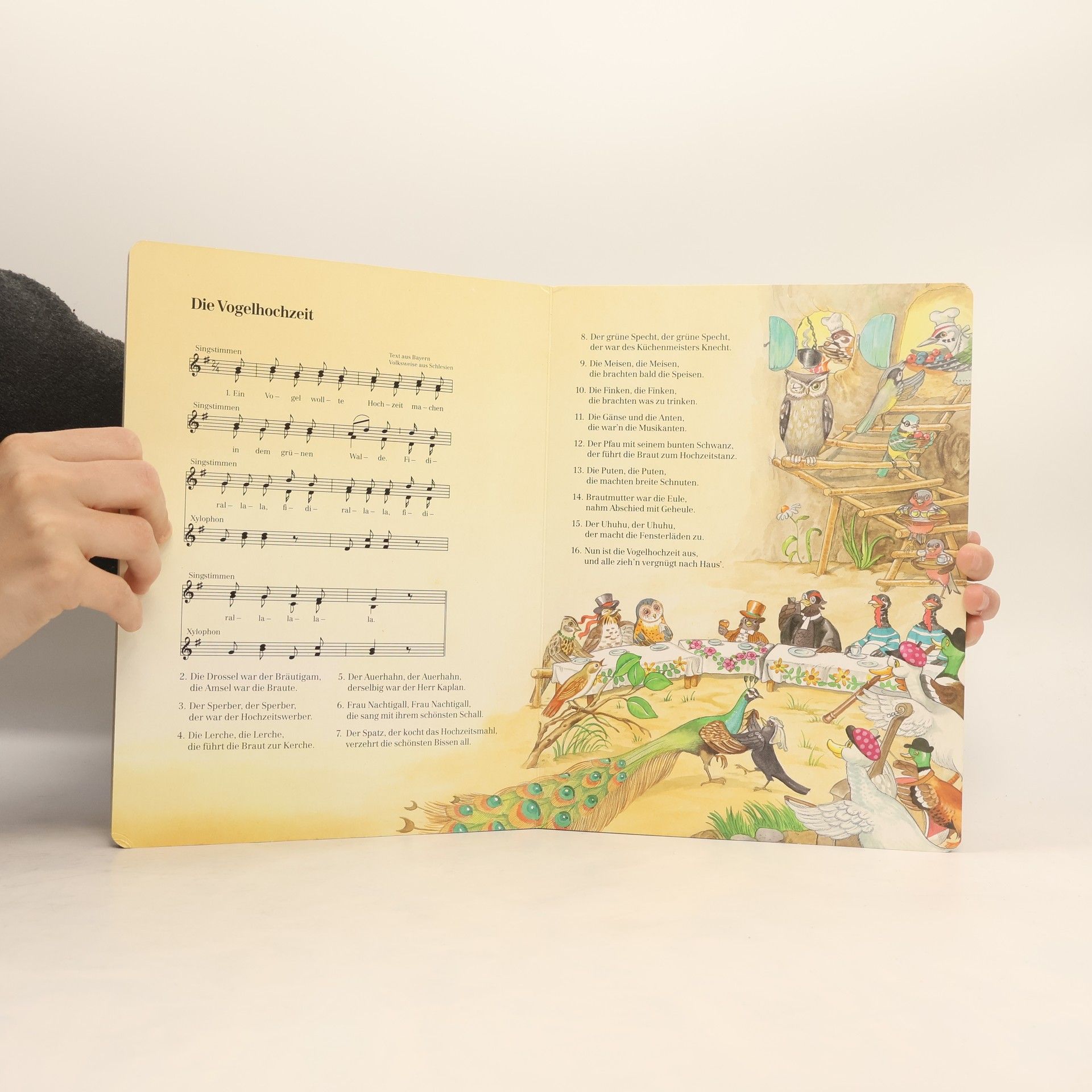 Autorenkollektiv Die Schönsten Kinderlieder