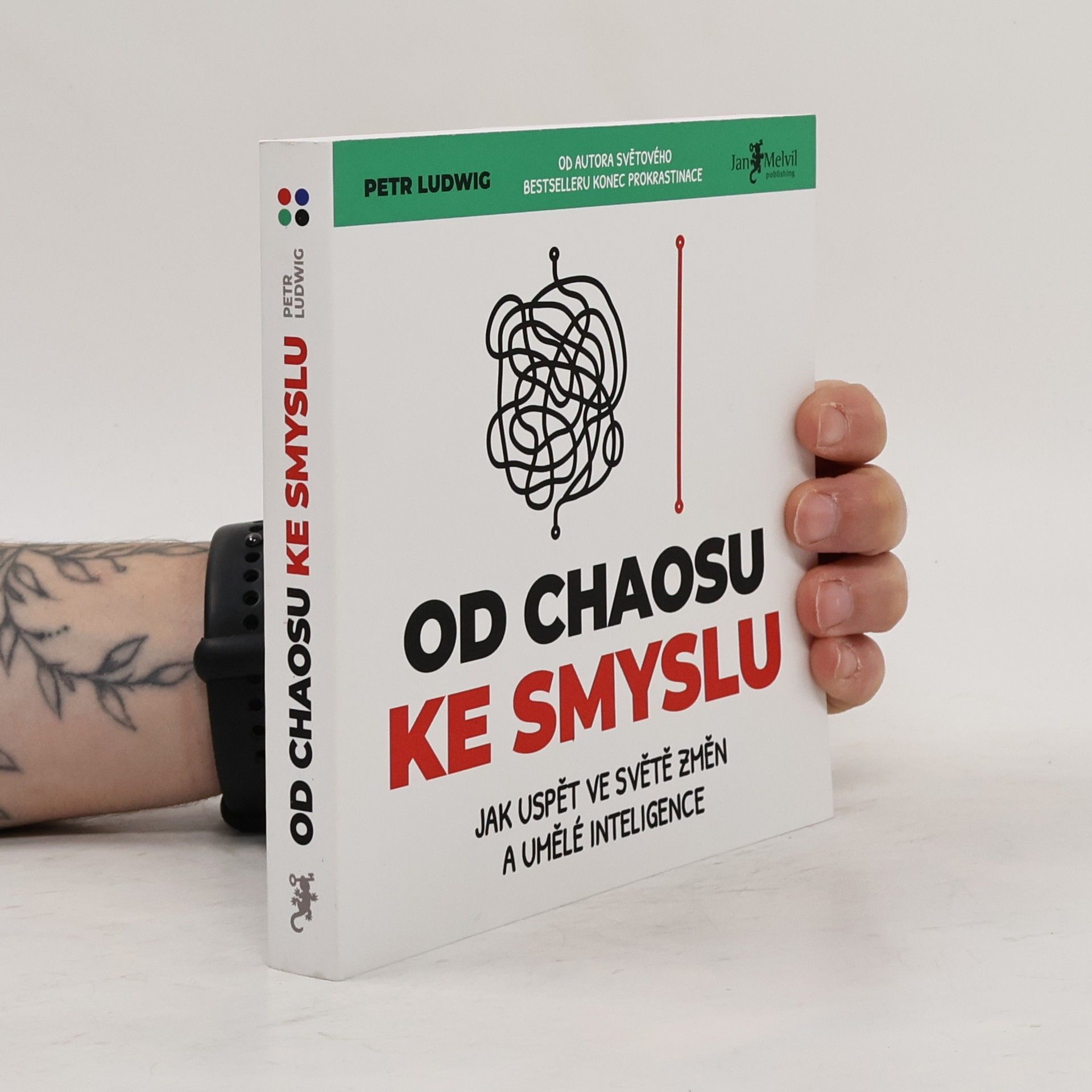 Petr Ludwig Od chaosu ke smyslu