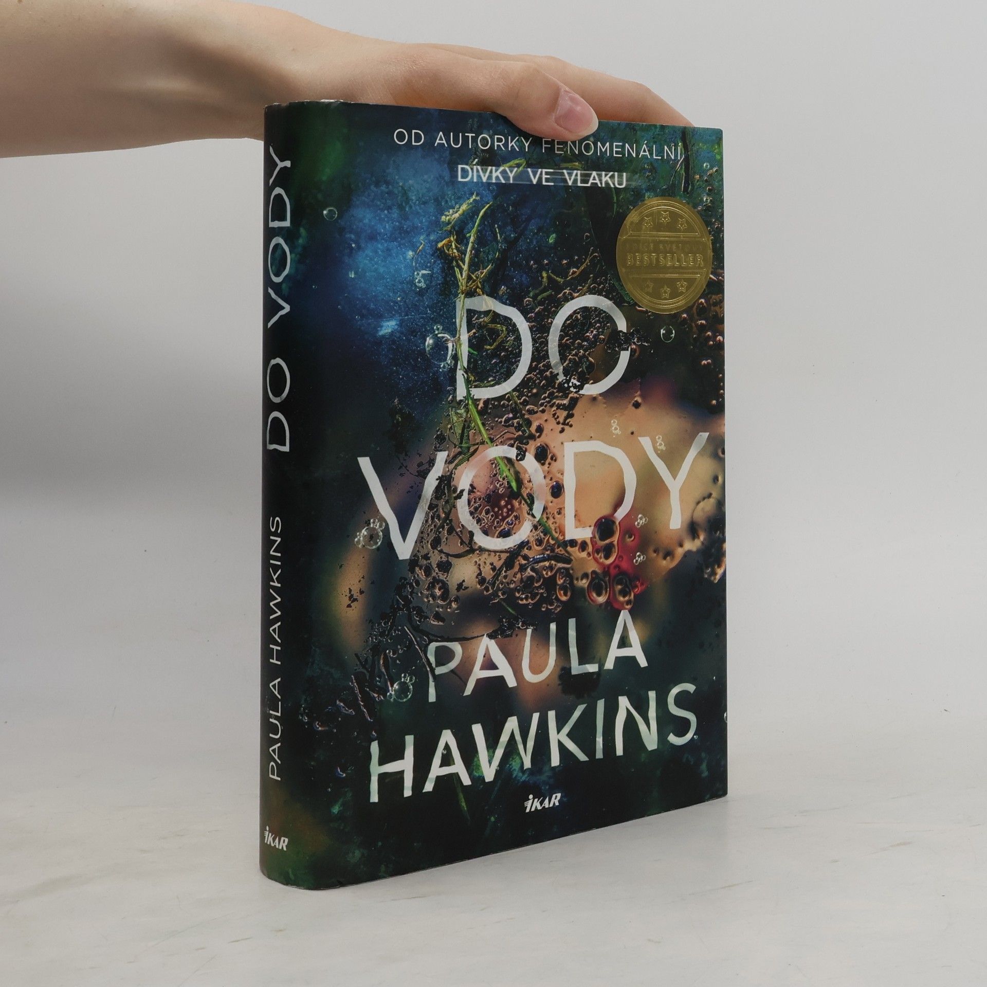 Paula Hawkins Do vody