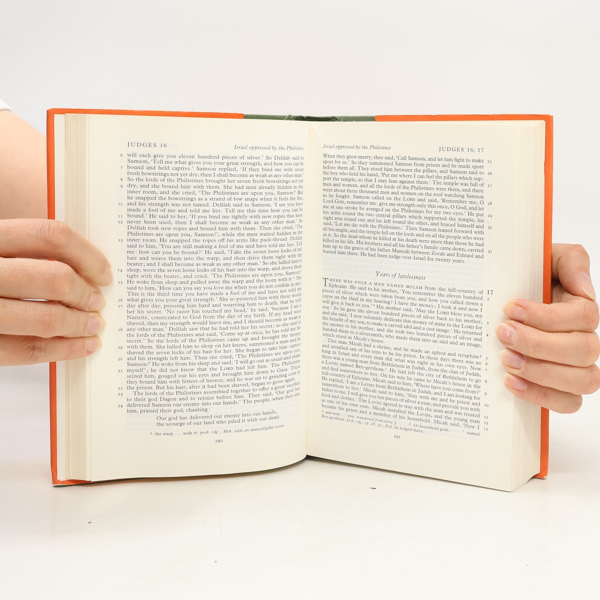 Auteurscollectief The new english bible