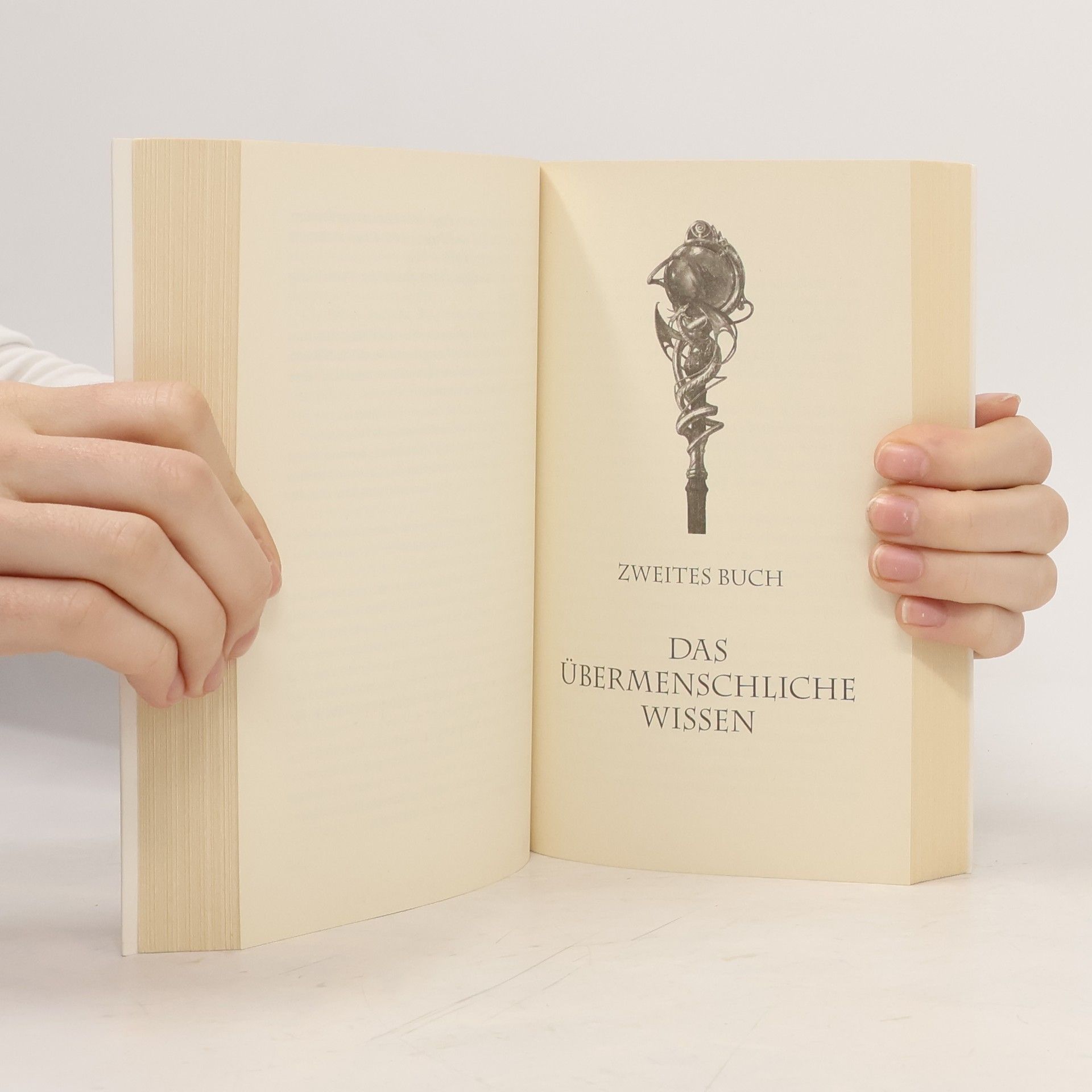 Pierre Grimbert Die Magier