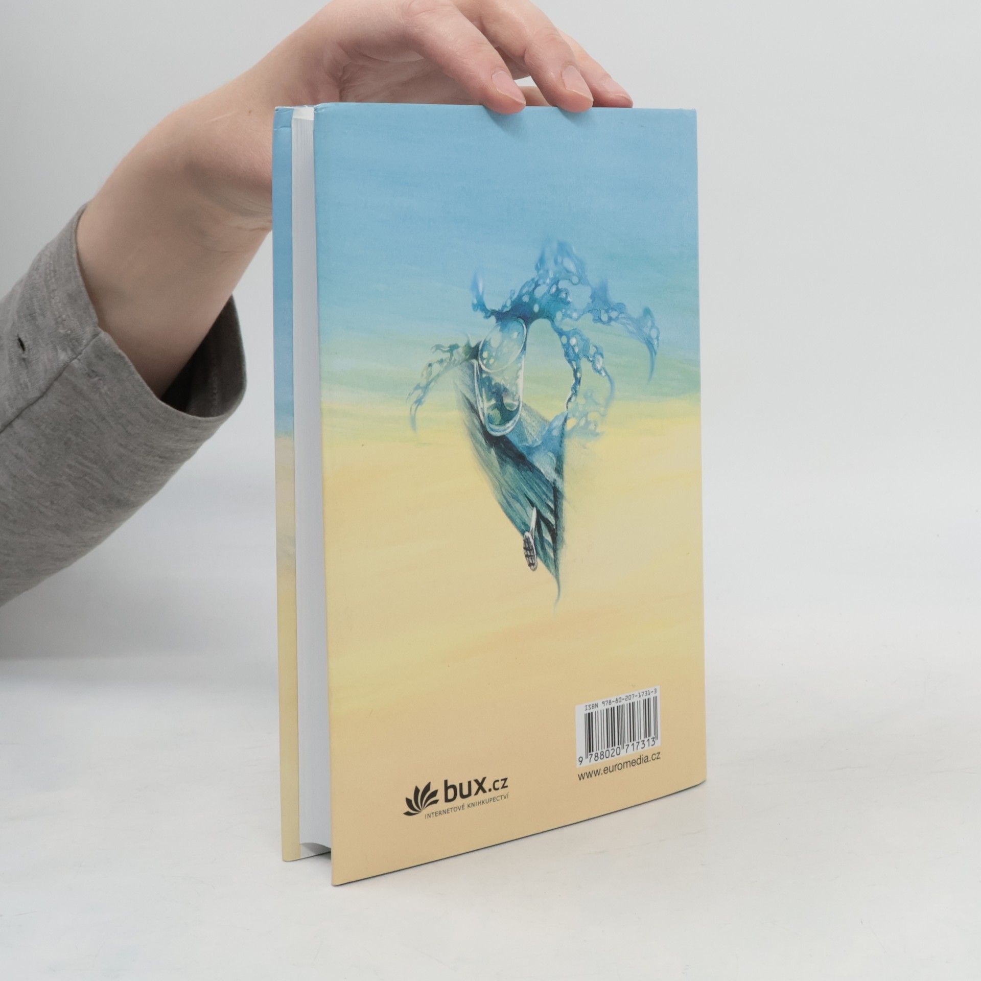 John Irving Pitná kúra