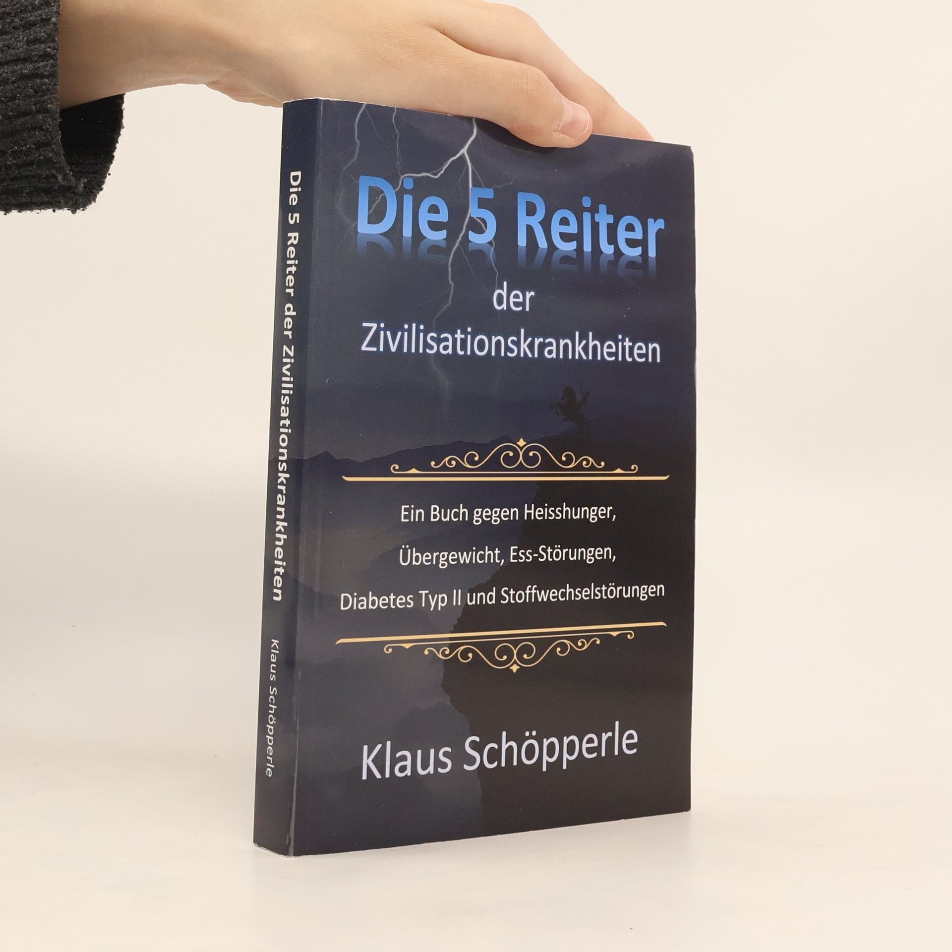 Klaus Schöpperle Die 5 Reiter der Zivilisationskrankheiten