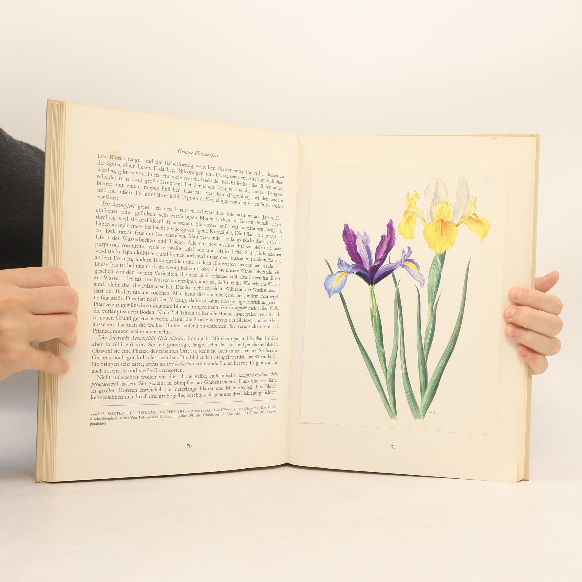 Autorenkollektiv Wunderwelt der Gartenblumen I