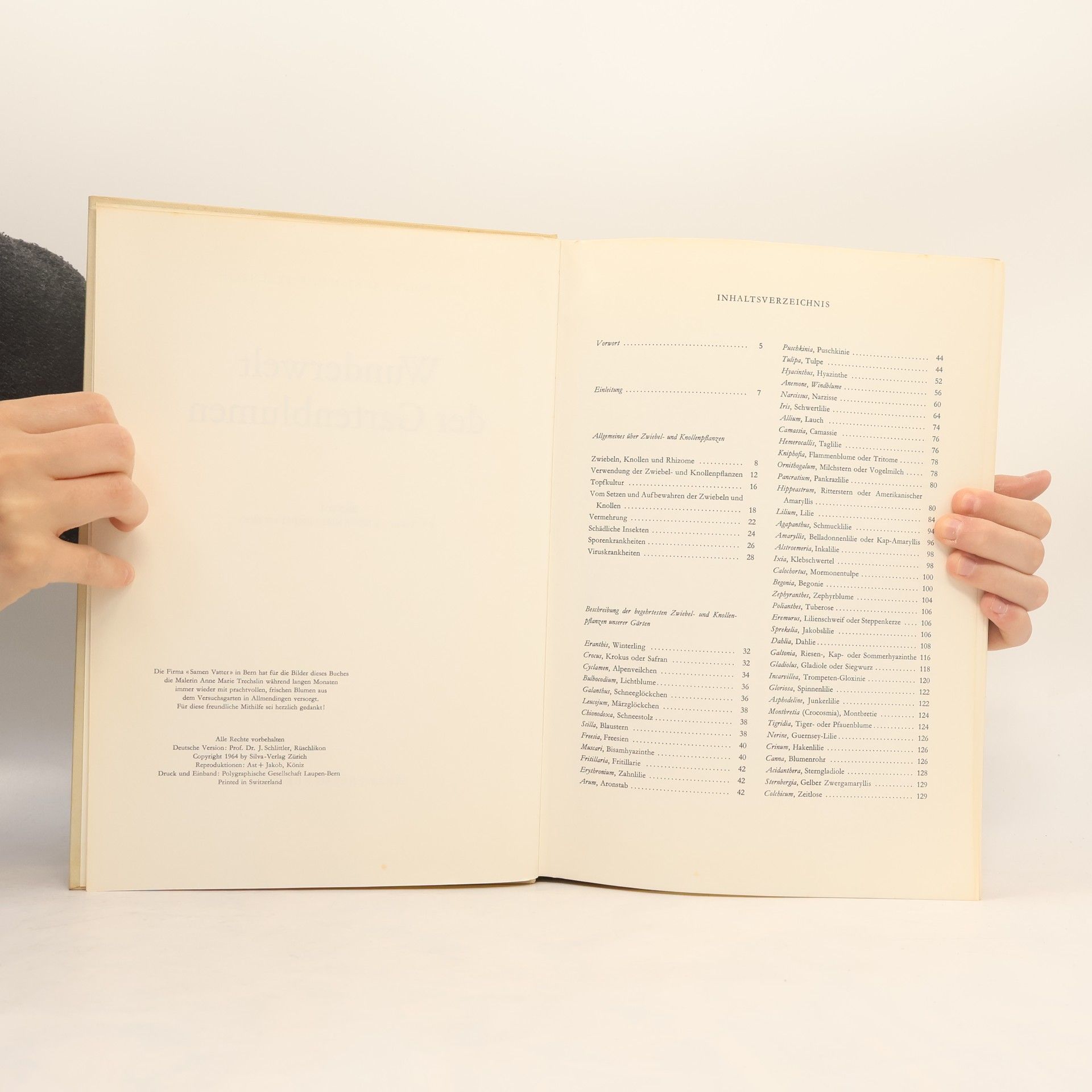 Autorenkollektiv Wunderwelt der Gartenblumen I