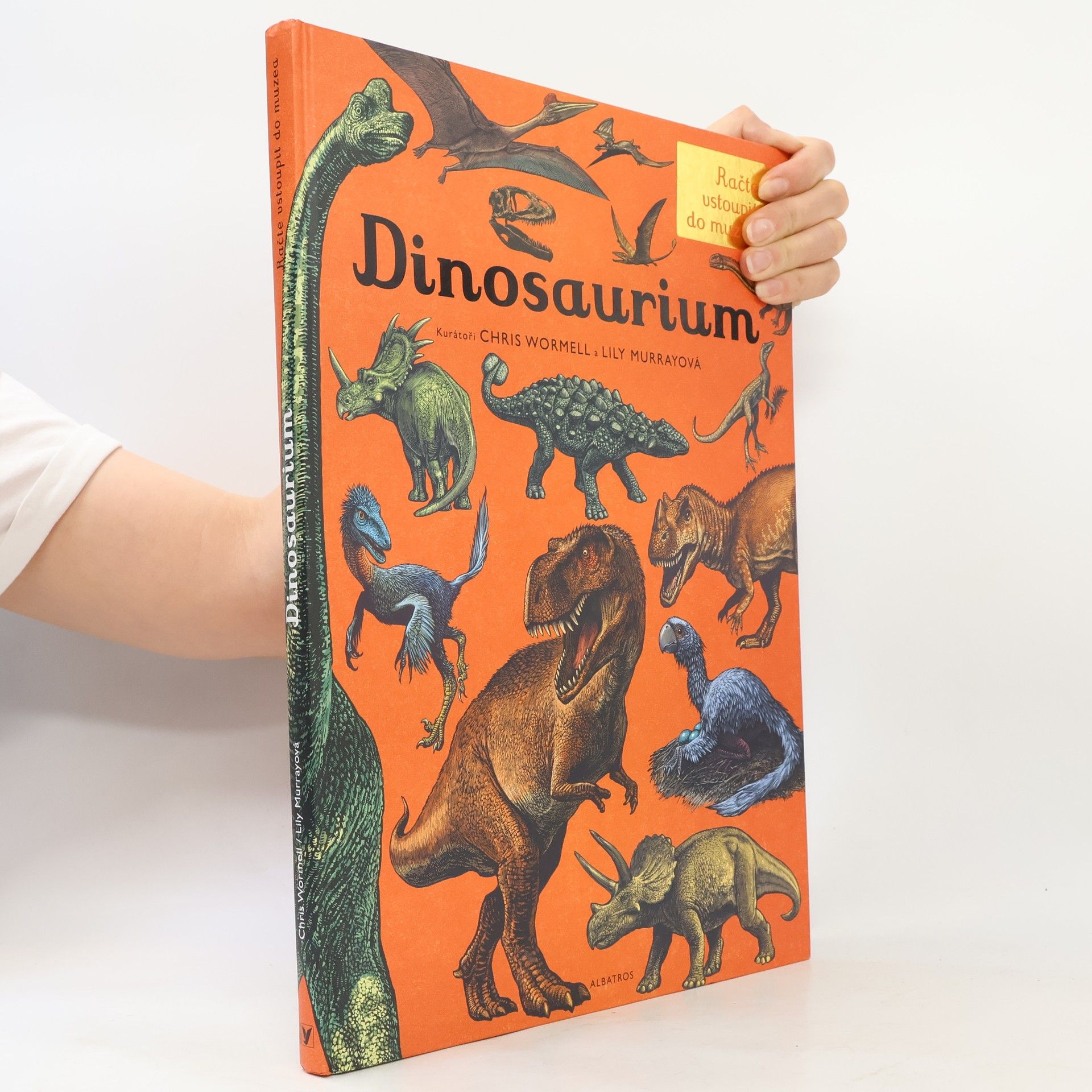 Lily Murray Dinosaurium