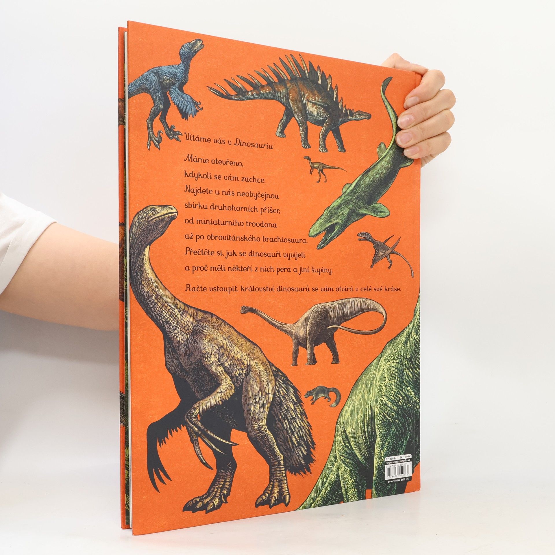 Lily Murray Dinosaurium