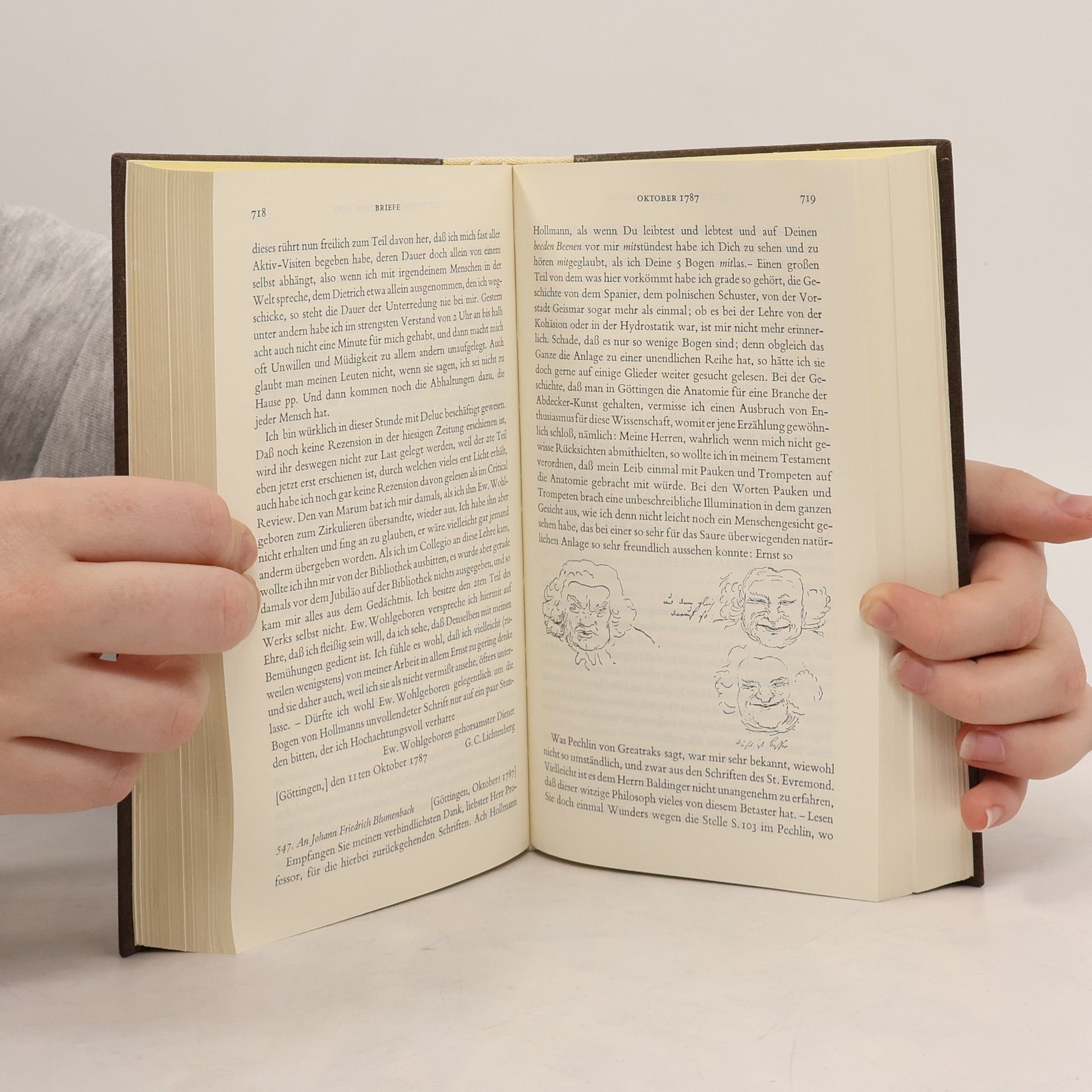 Georg Christoph Lichtenberg Schriften und Briefe IV.
