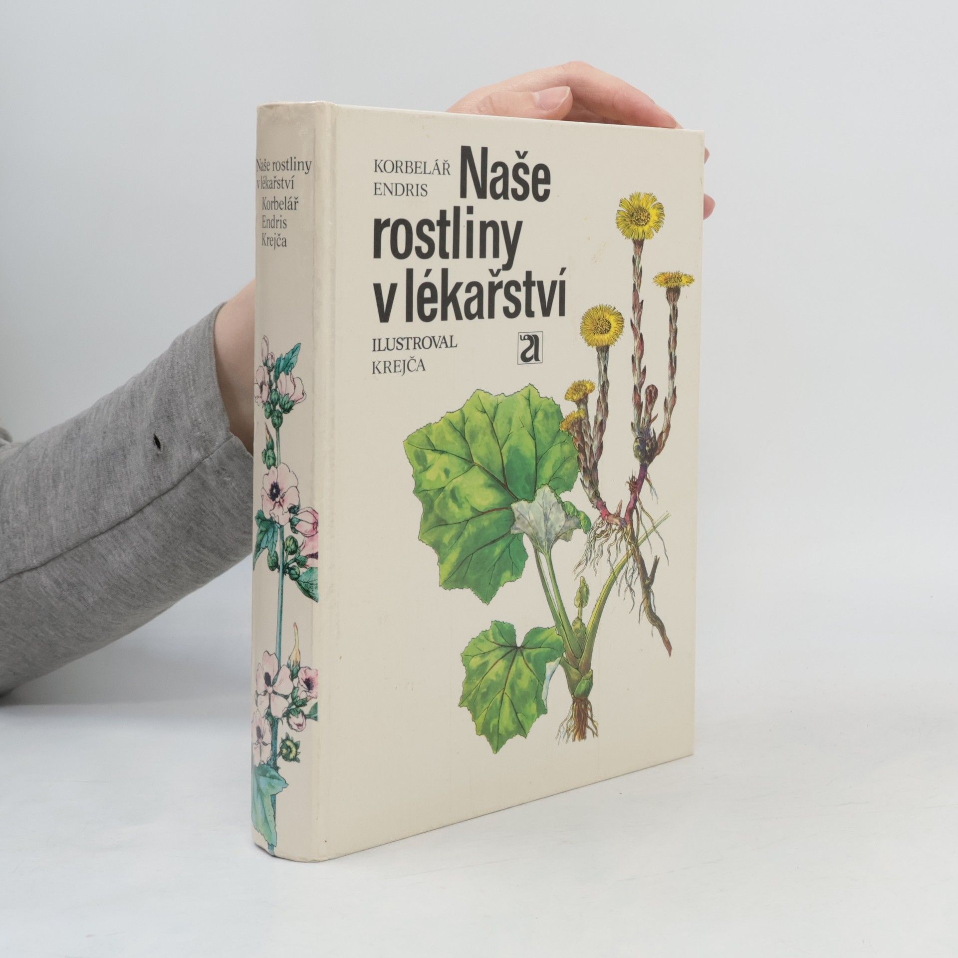 Jaroslav Korbelář Naše rostliny v lékařství
