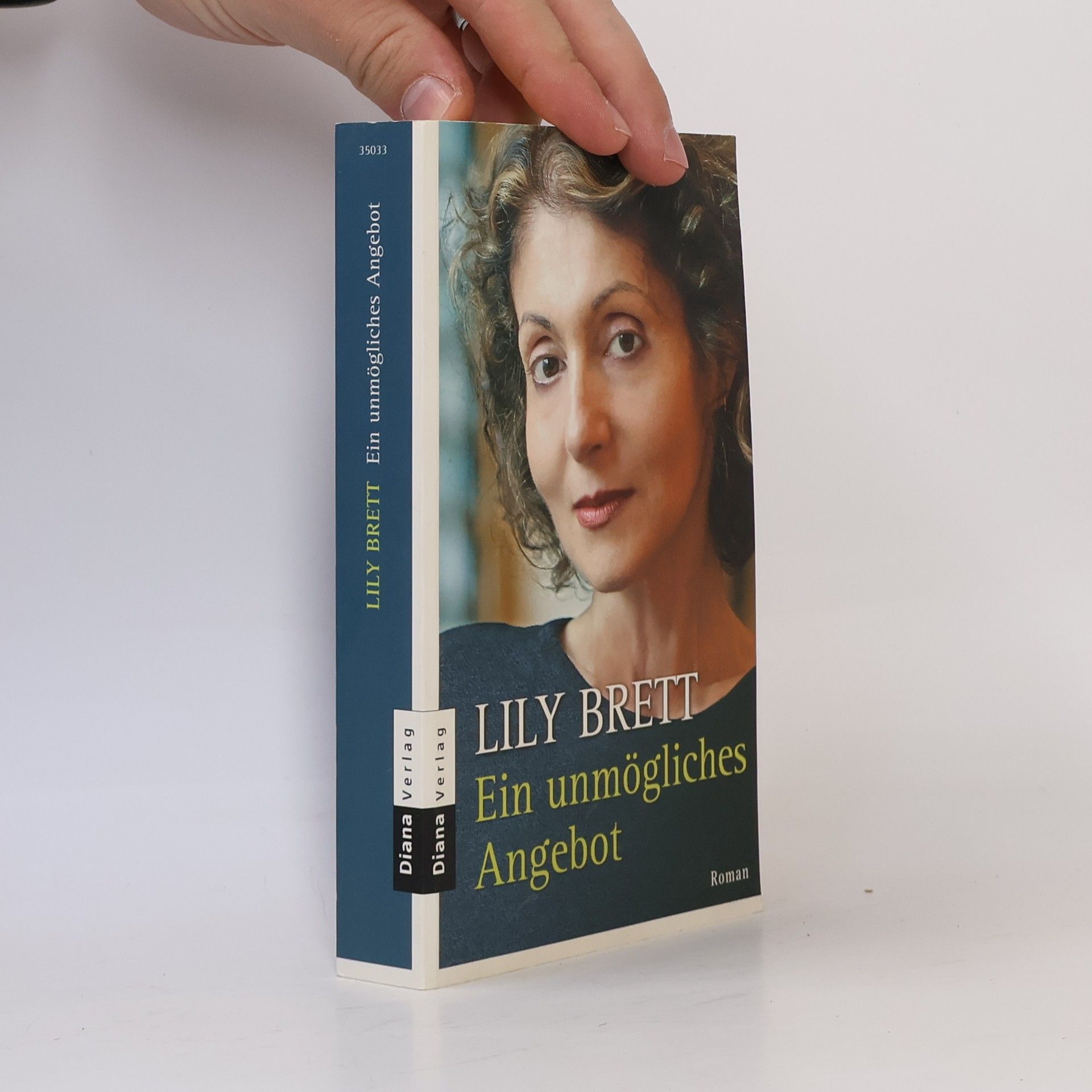 Lilly Brett Ein unmögliches Angebot