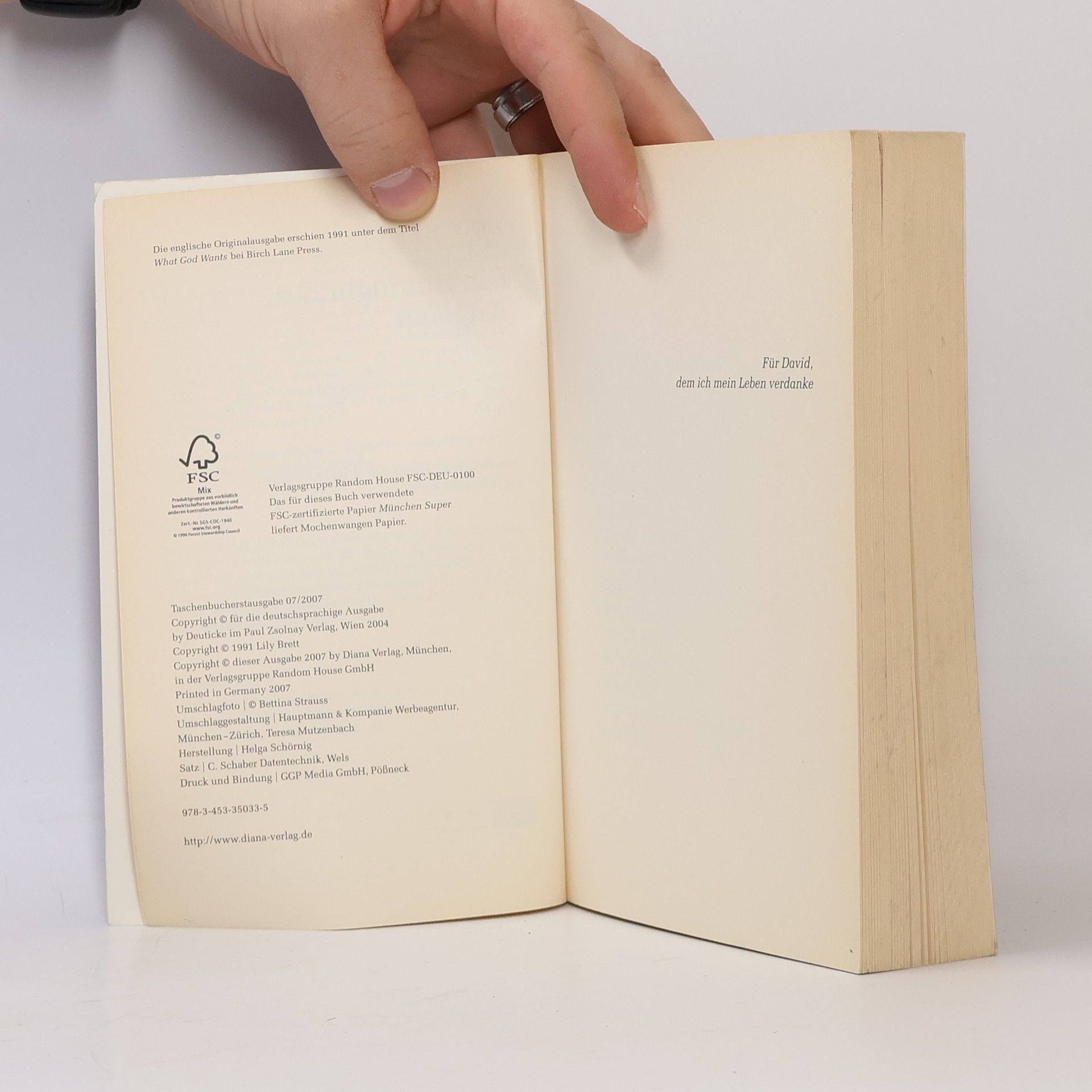 Lily Brett Ein unmögliches Angebot