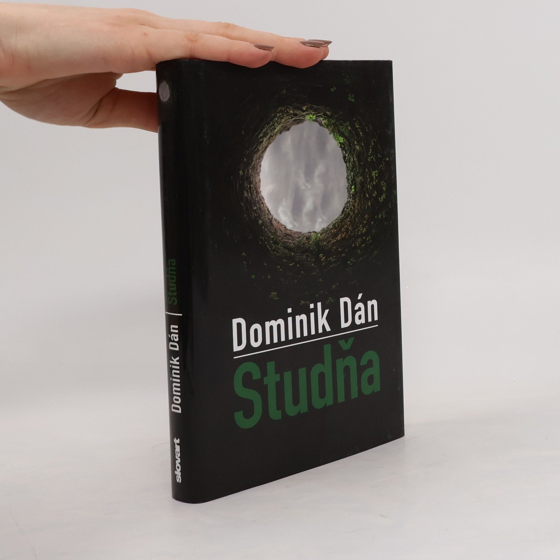 Dominik Dán Studňa