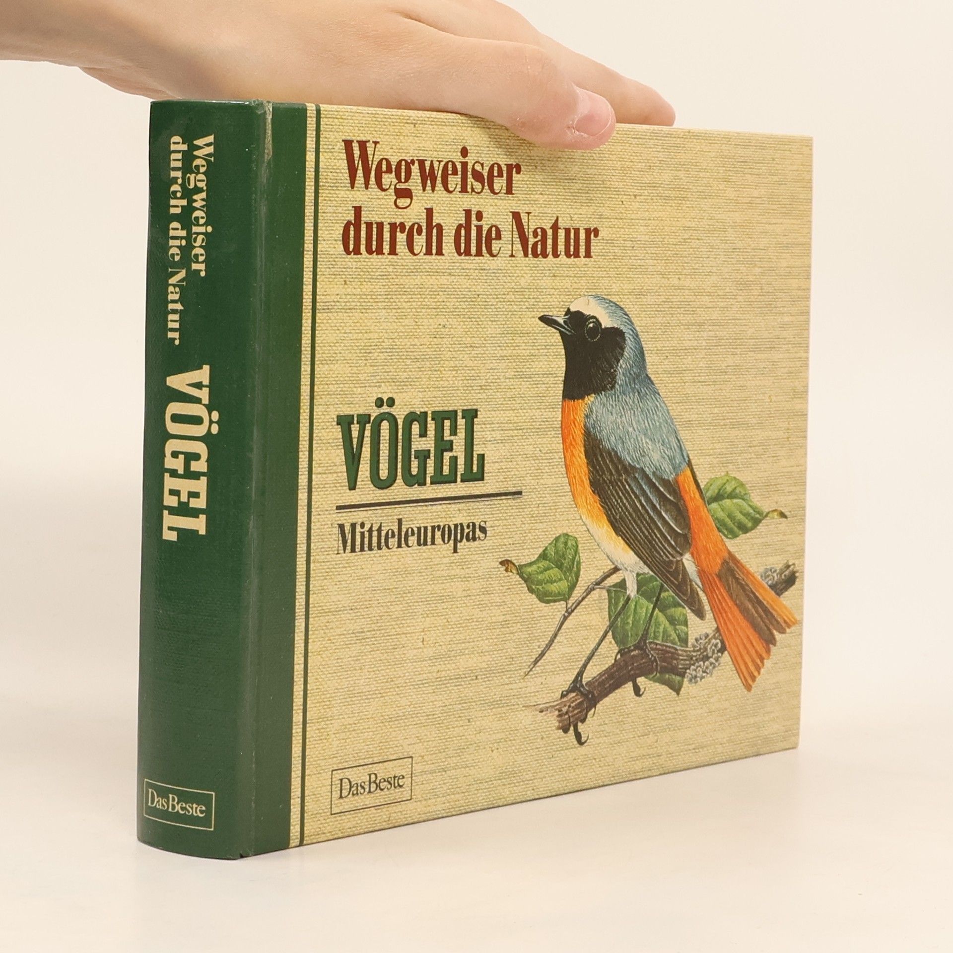 Kolektiv autorů Wegweiser durch die Natur. Vögel Mitteleuropas