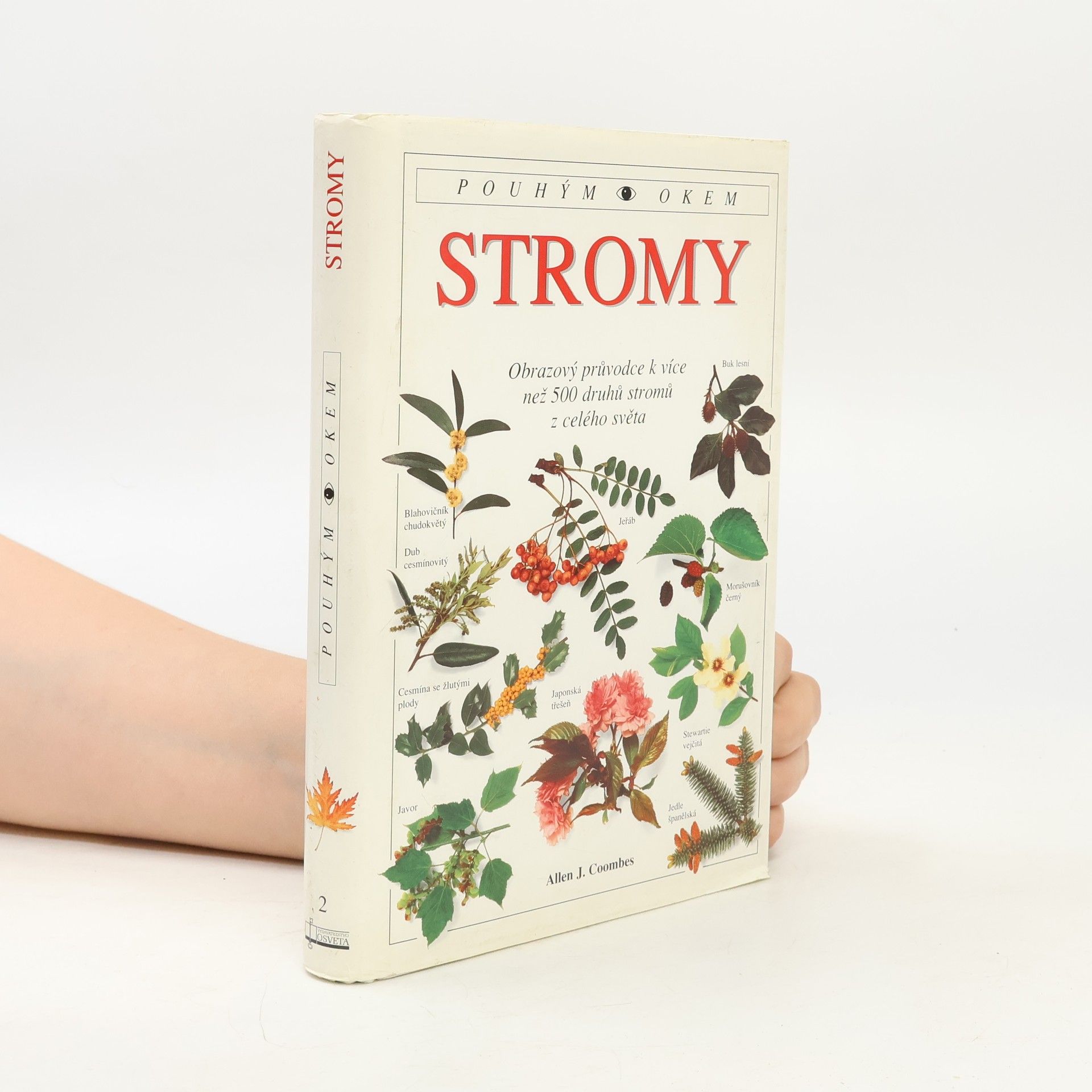 Allen J. Coombes Stromy