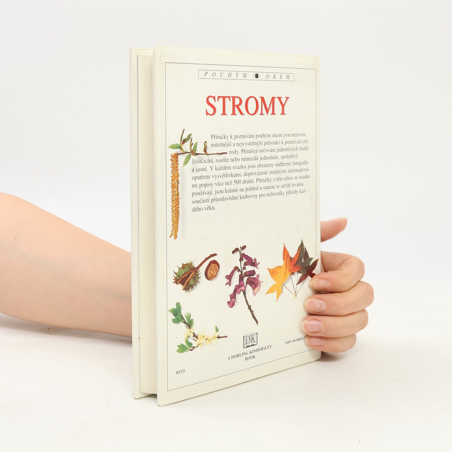 Allen J. Coombes Stromy