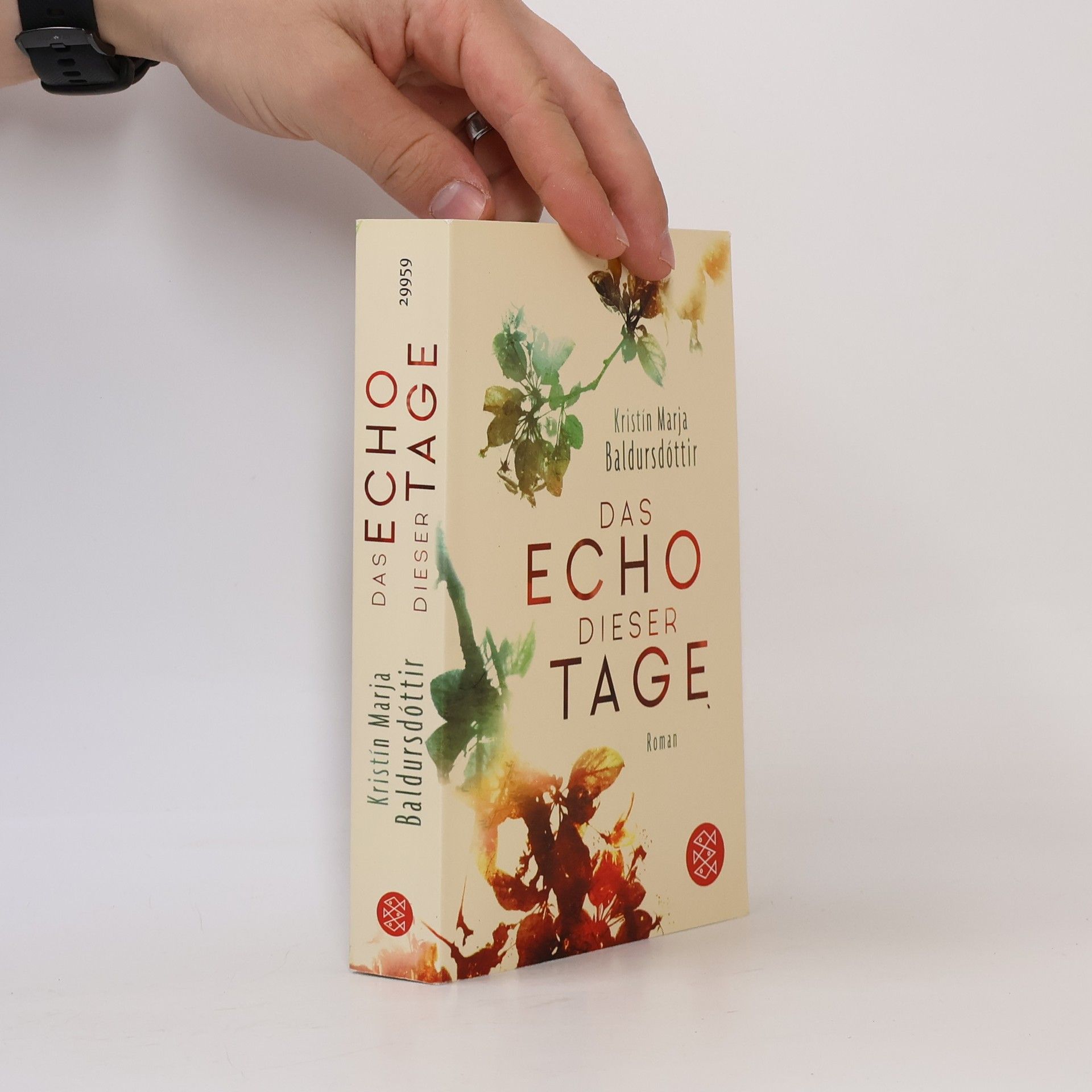 Kristín Marja Baldursdóttir Das Echo dieser Tage