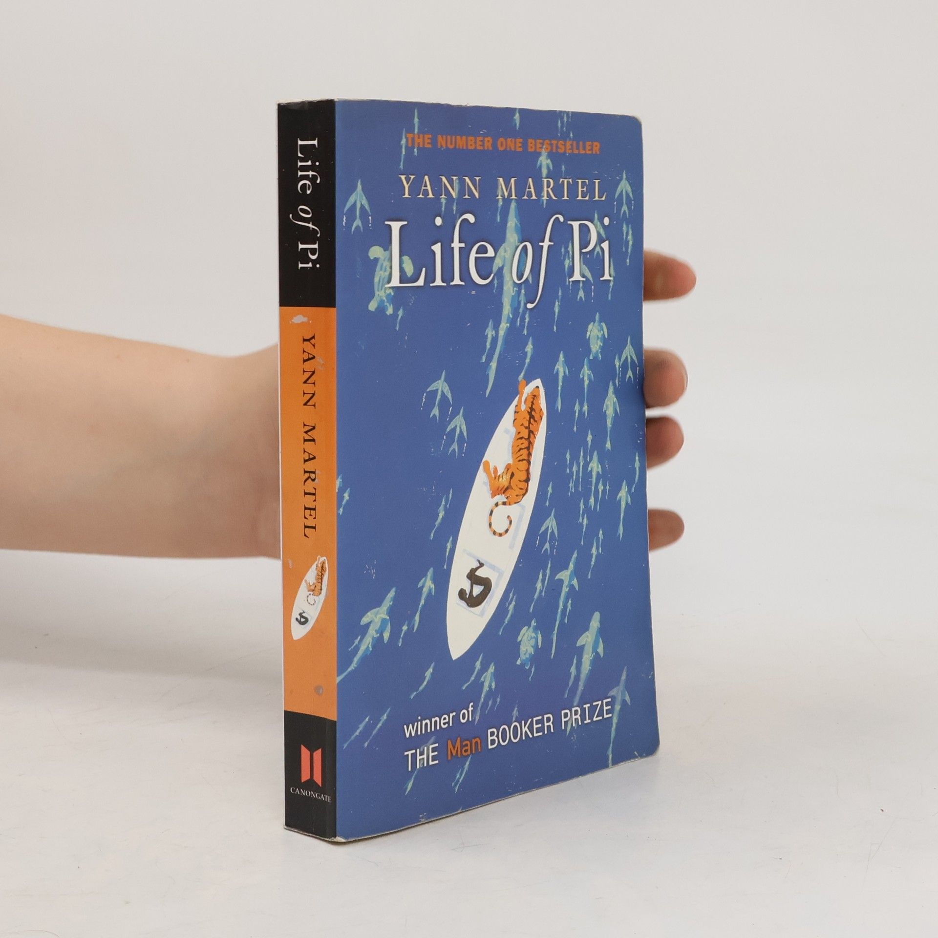 Yann Martel Life of Pi
