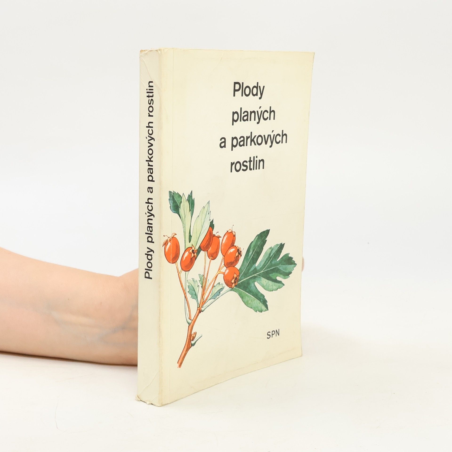 Alois Mikula Plody planých a parkových rostlin : kapesní atlas : pomocná kniha pro biologické zájmové kroužky na školách, v Domech pionýrů a