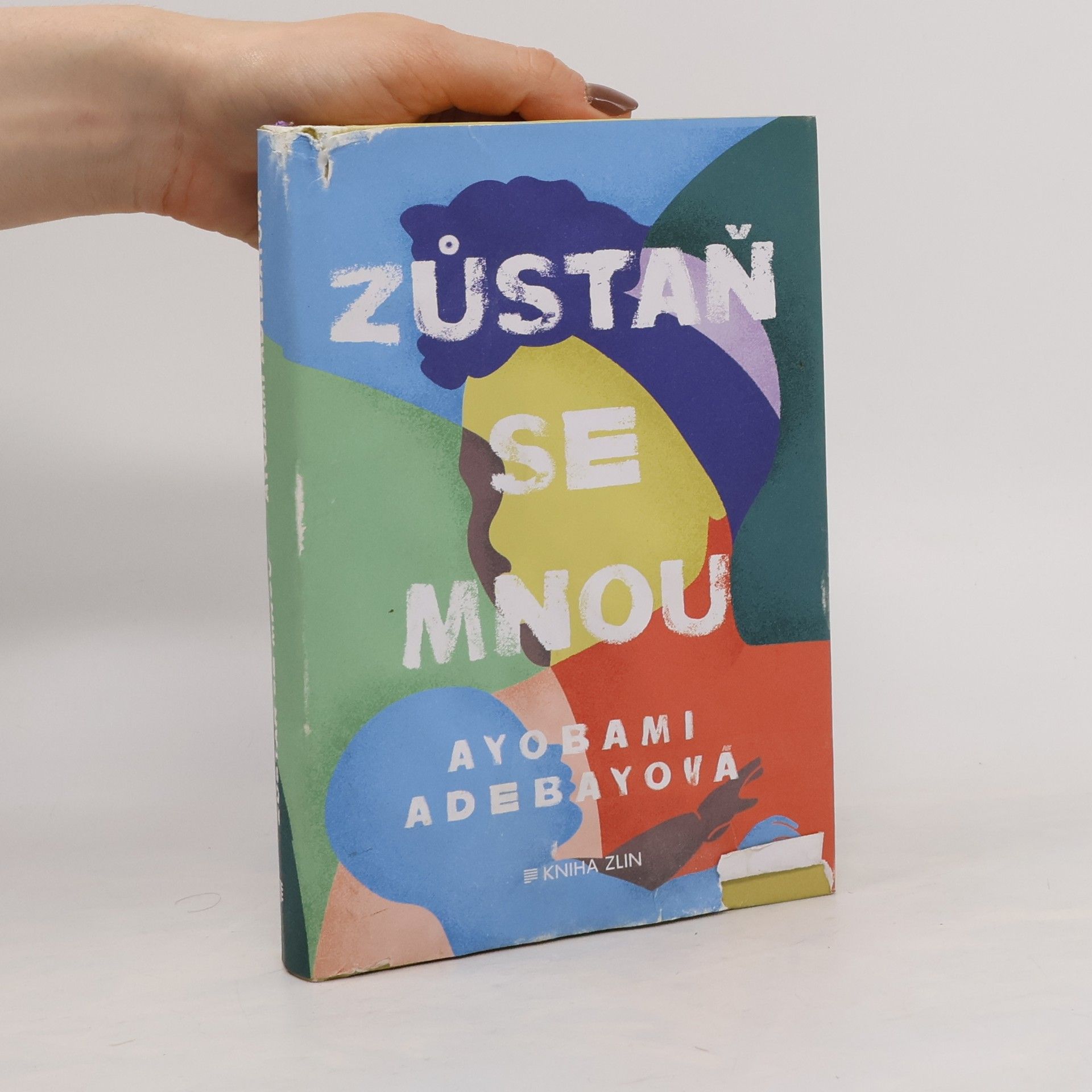 Ayobami Adebayo Zůstaň se mnou