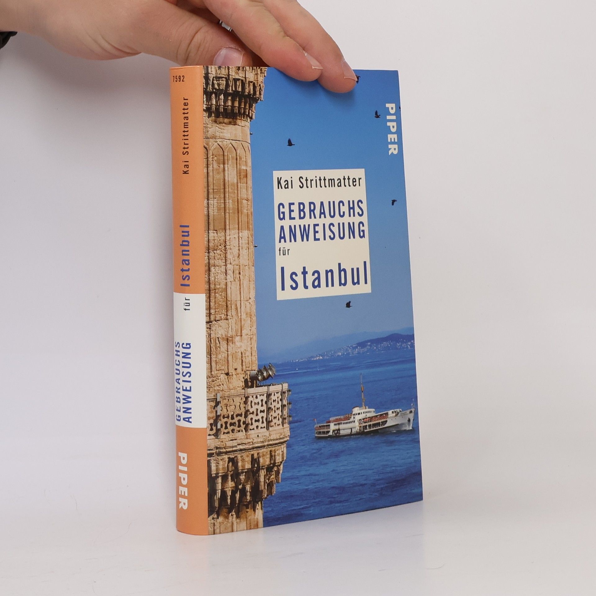 Kai Strittmatter Gebrauchs anweisung für Istanbul