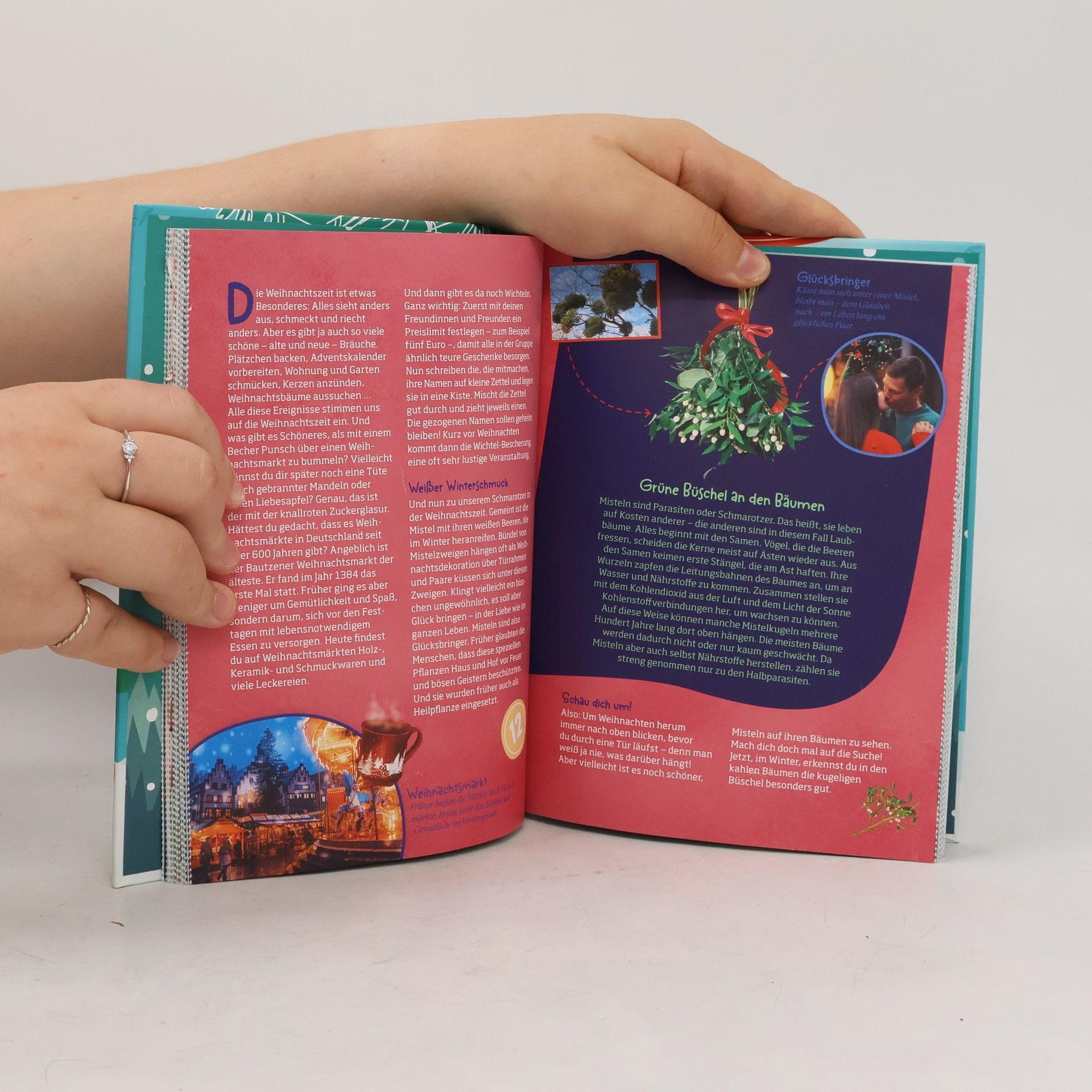 Karin Bischoff Mein WAS IST WAS Adventskalenderbuch