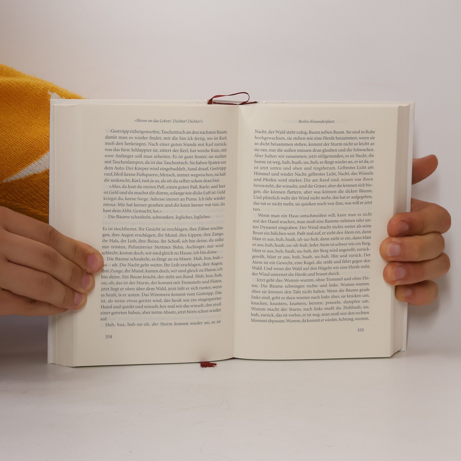 Alfred Döblin Das Lesebuch