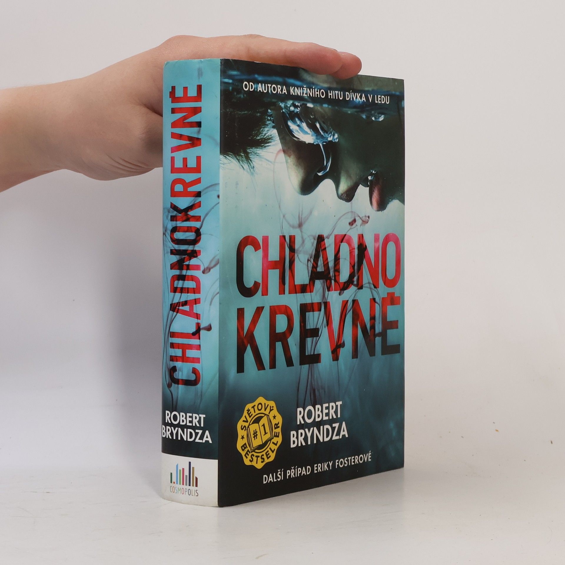 Robert Bryndza Chladnokrevně