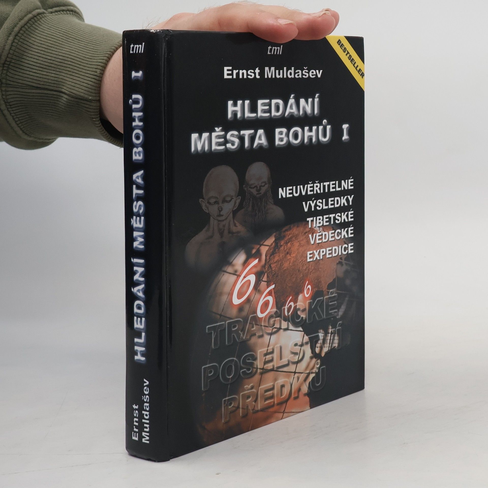 Ernst Muldašev Hledání města Bohů. I, Tragické poselství svědků