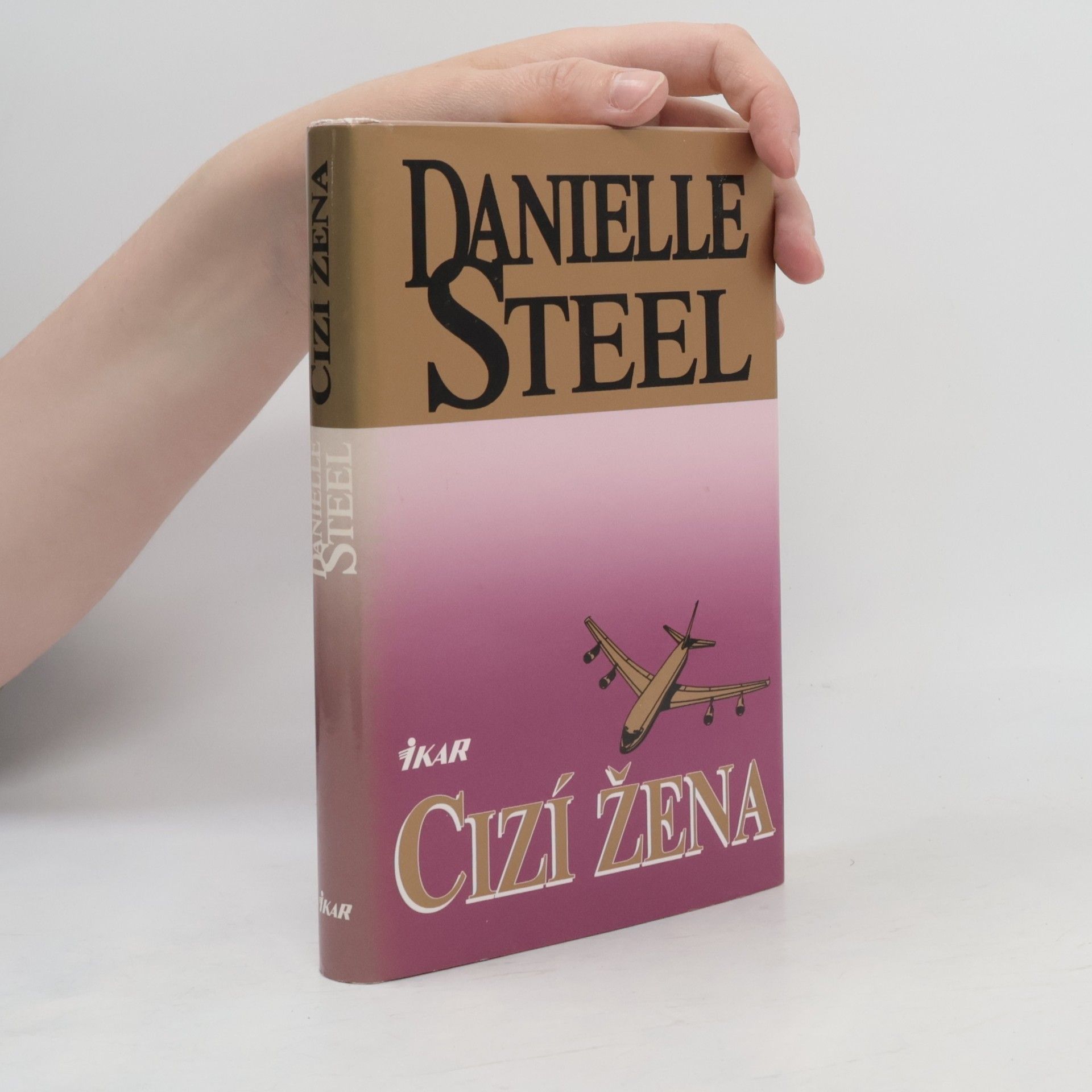 Danielle Steel Cizí žena