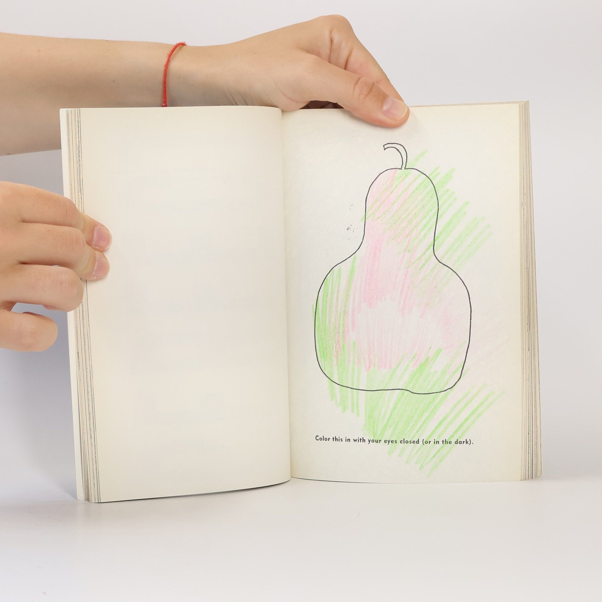 Keri Smith Mess - The Manual of Accidents and Mistakes