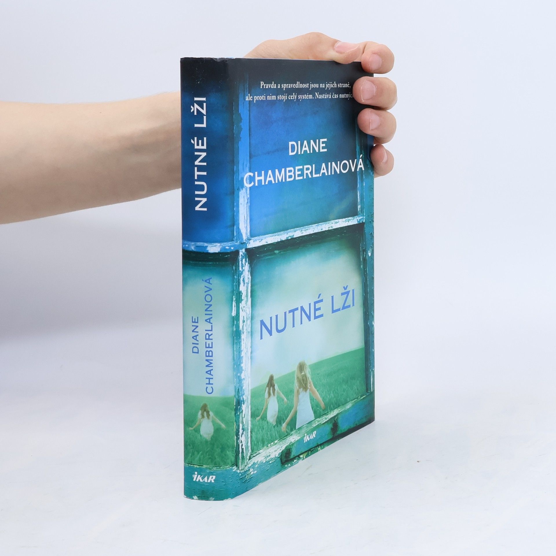 Diane Chamberlain Nutné lži