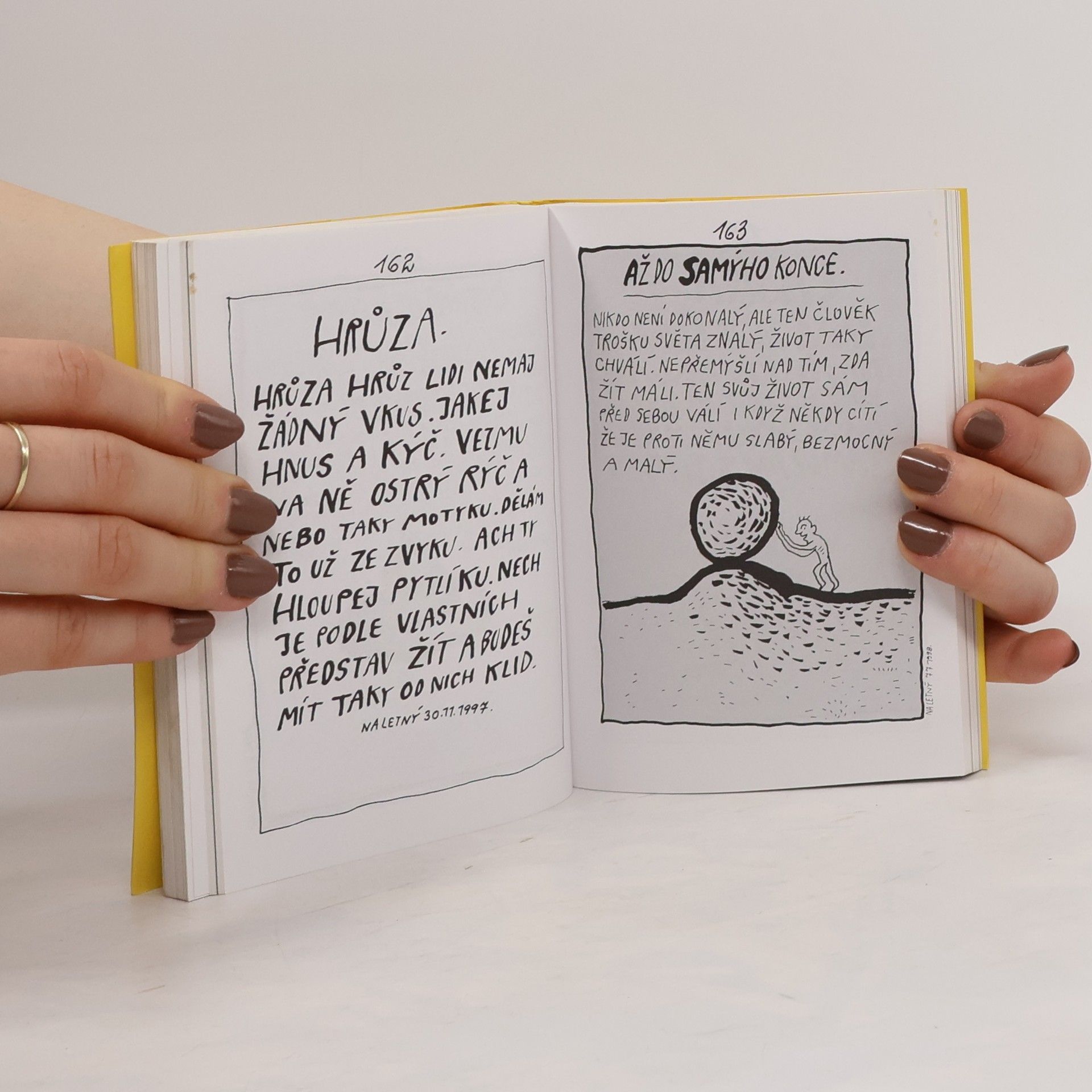 Honza Volf Ptačí políbení