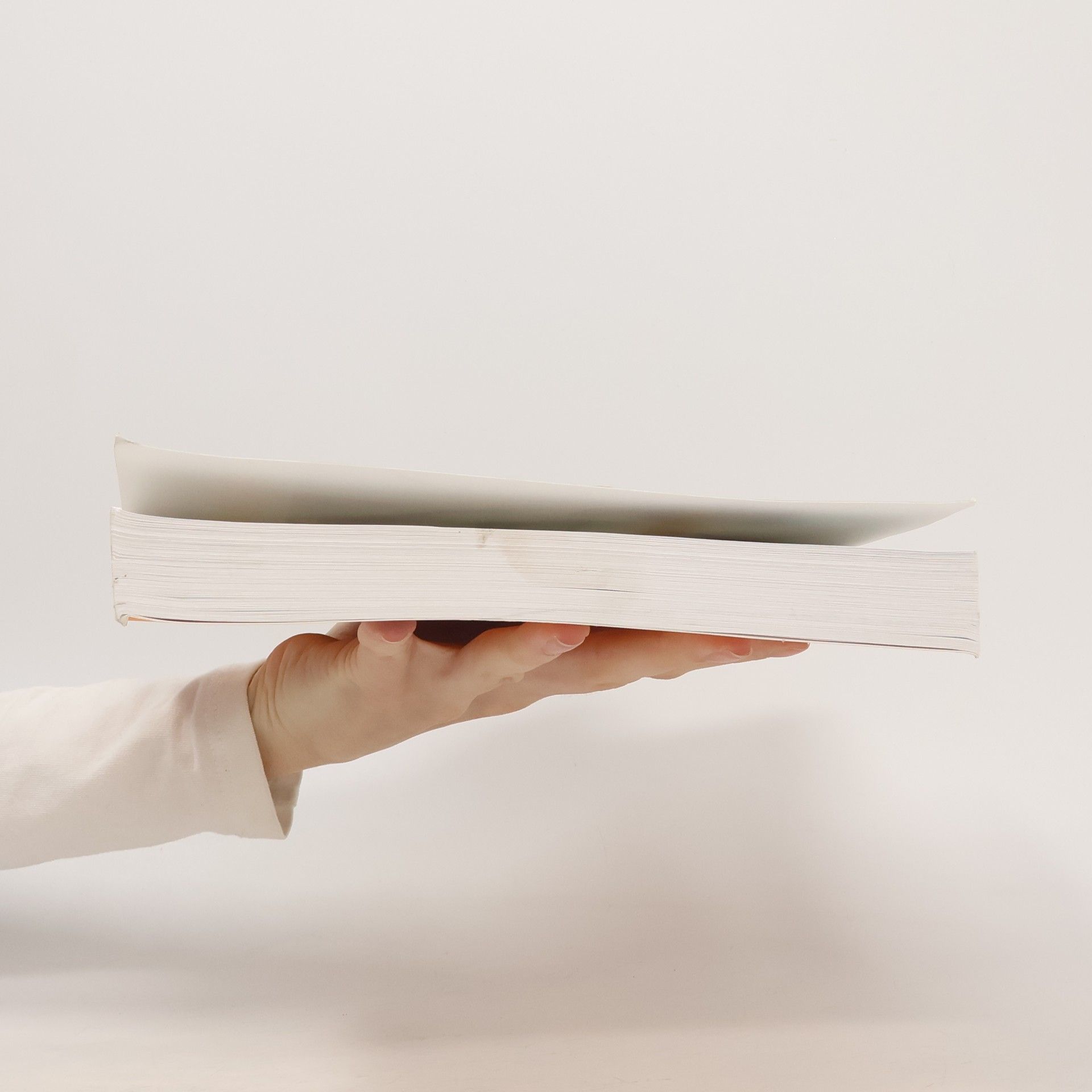Hanny Lothrop Das Stillbuch