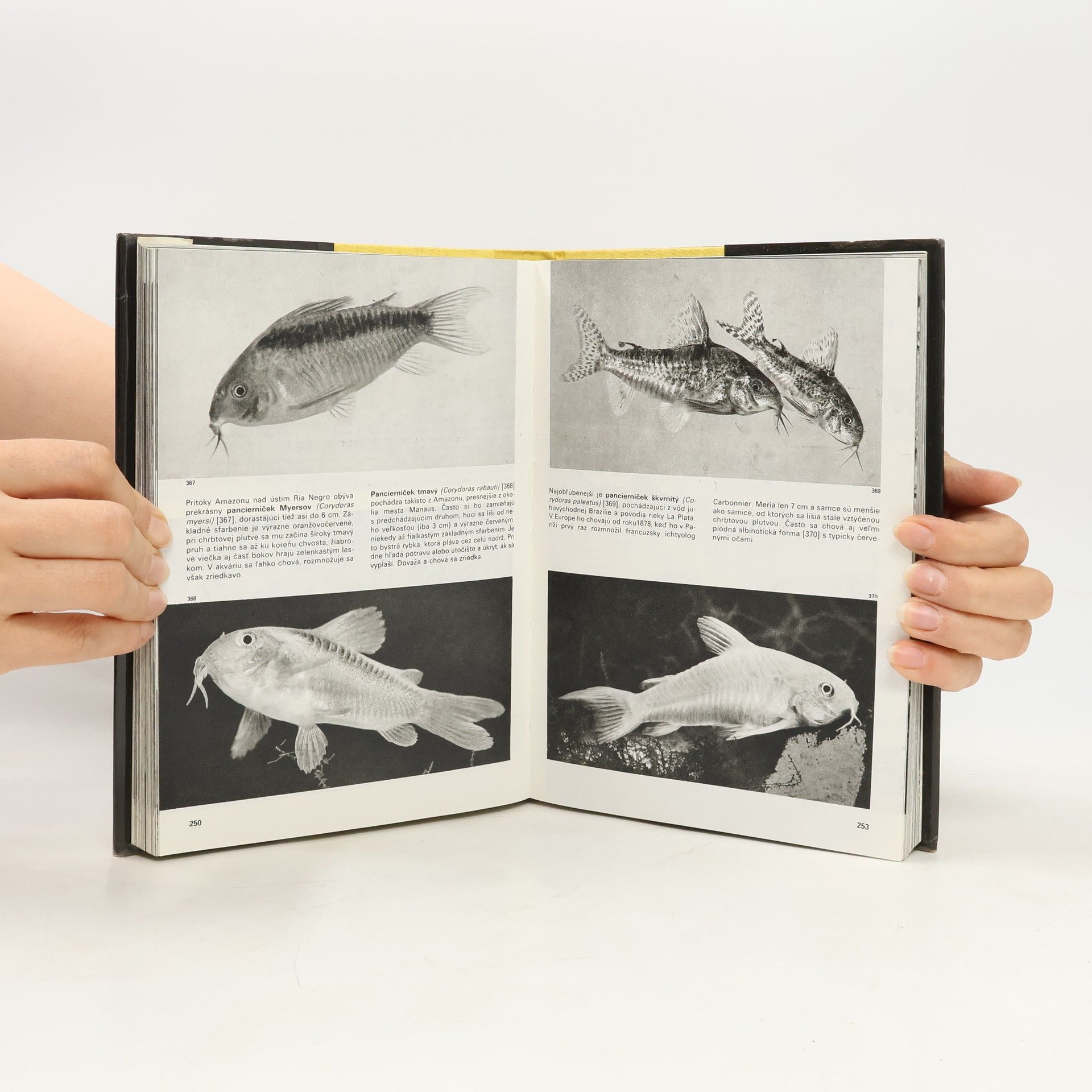 Stanislav Frank Veľký obrazový atlas rýb
