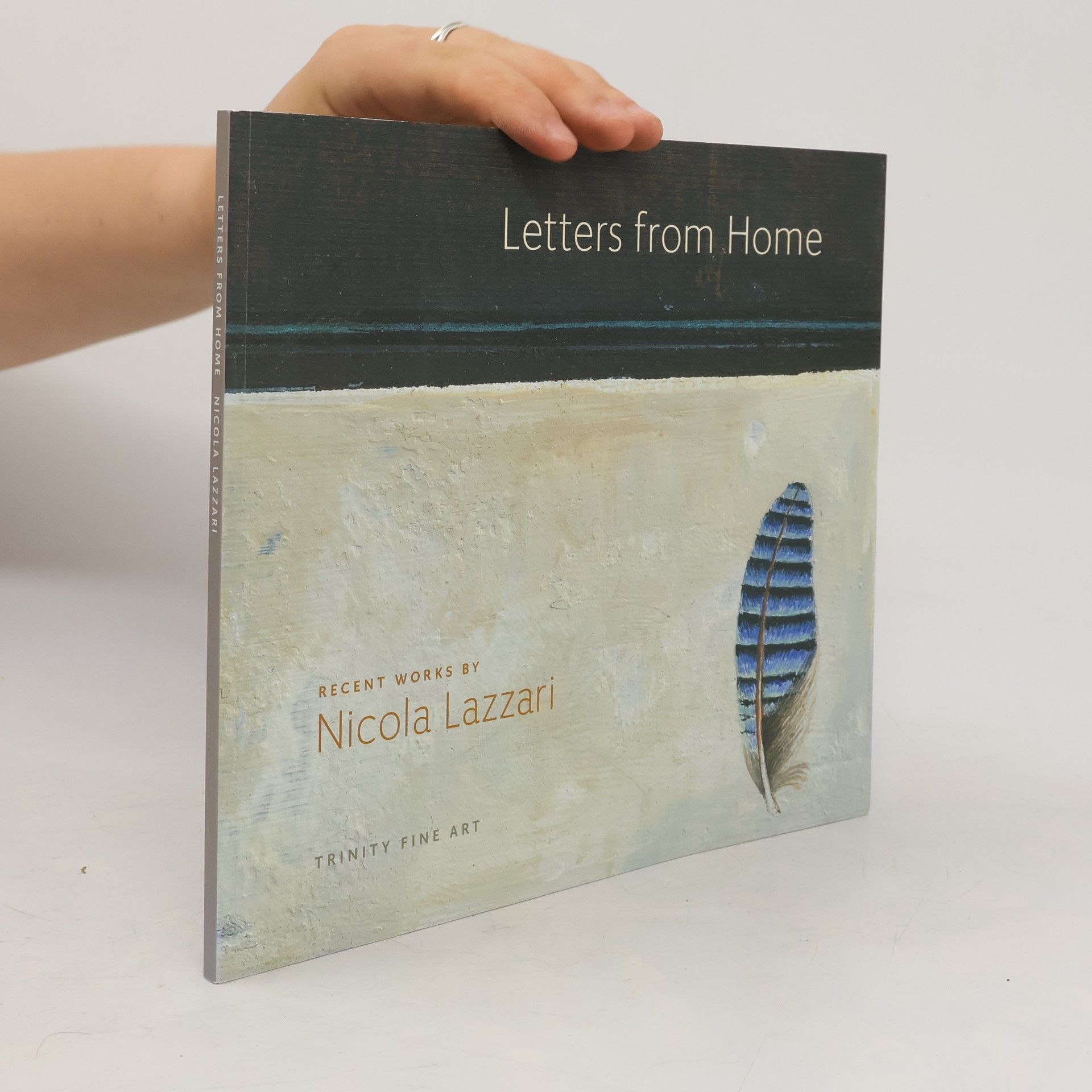 Nicola Lazzari Letters from Home
