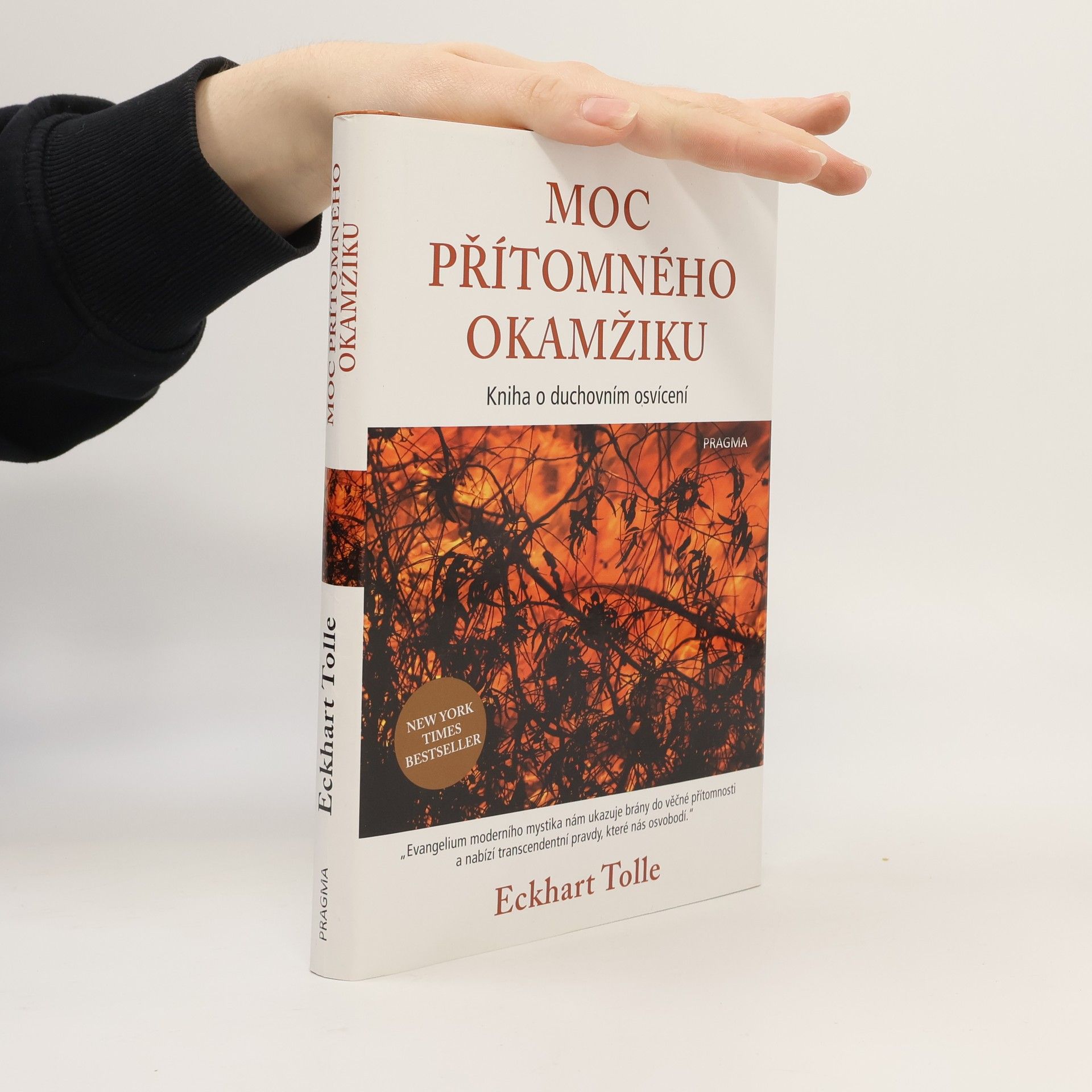 Eckhart Tolle Moc přítomného okamžiku