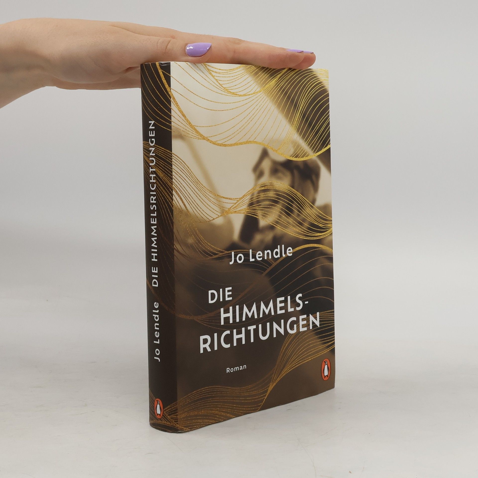 Jo Lendle Die Himmelsrichtungen. Roman