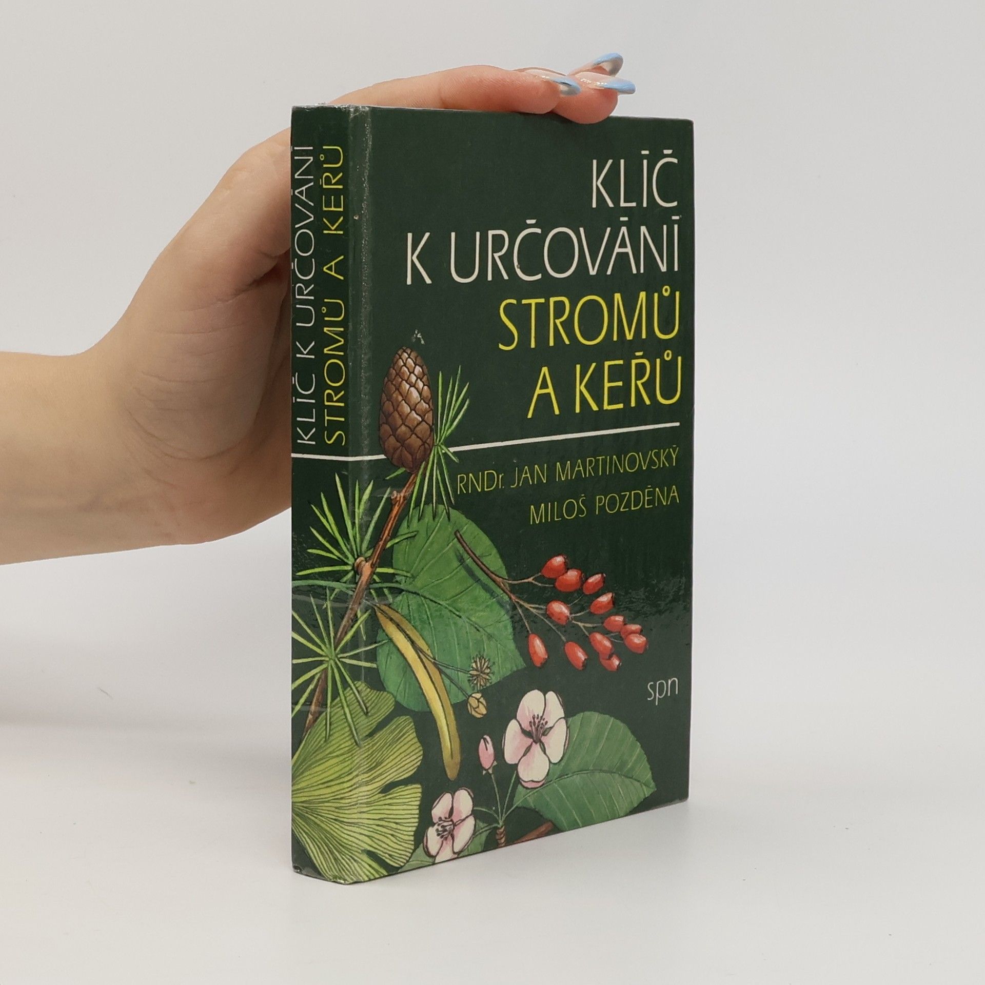 Klíč k určování stromů a keřů