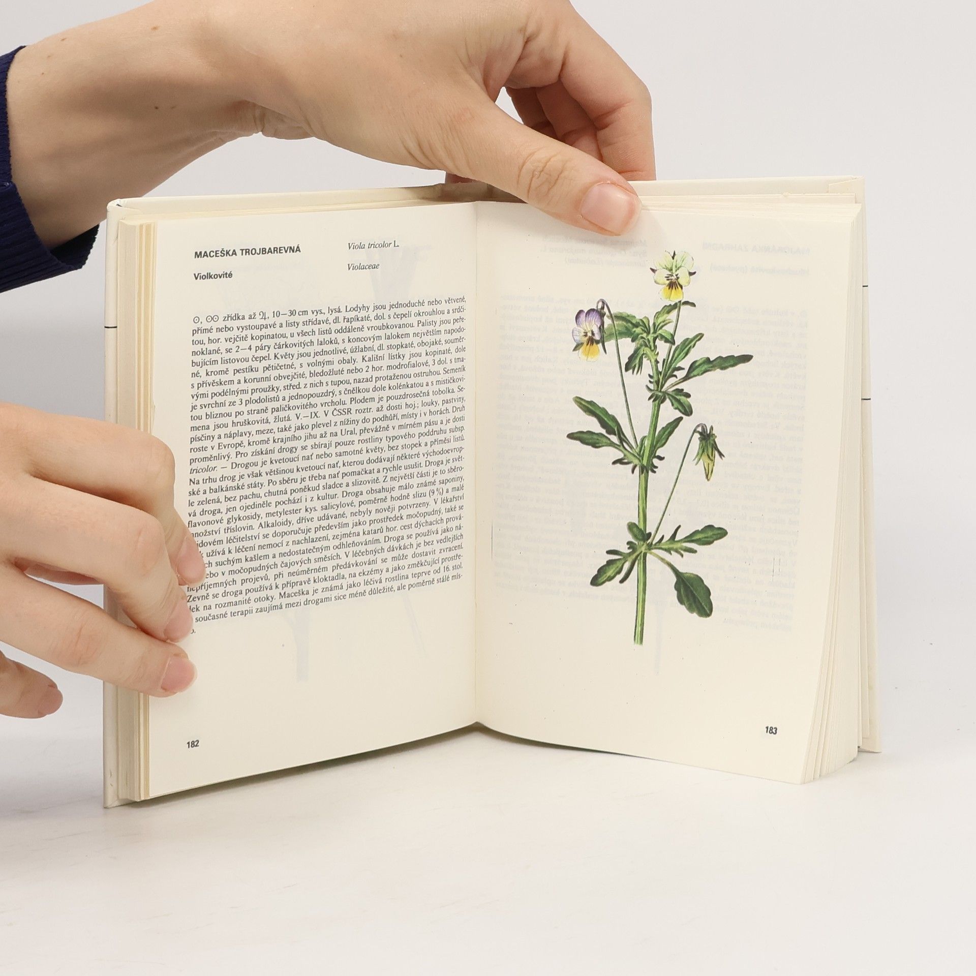 Václav Jirásek Kapesní atlas léčivých rostlin
