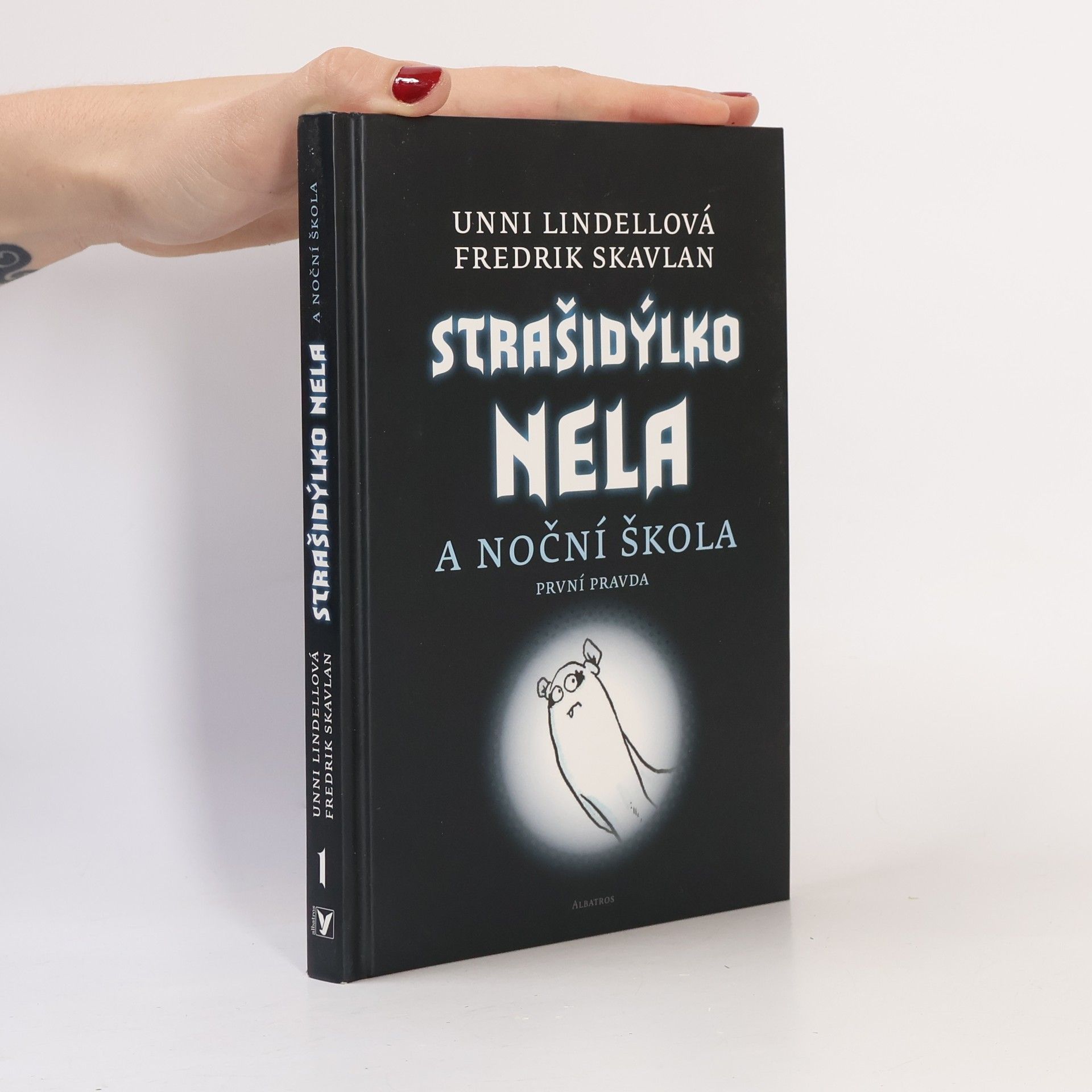 Strašidýlko Nela a Noční škola